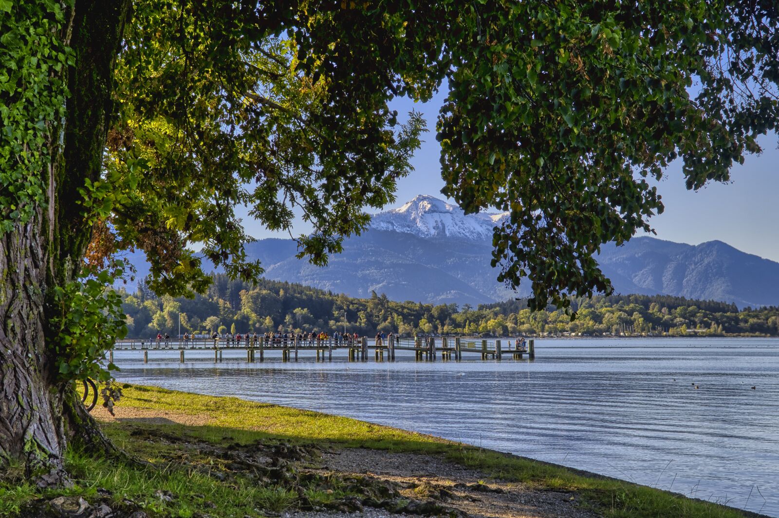 Nikon D7500 sample photo. Lake, pier, tree photography