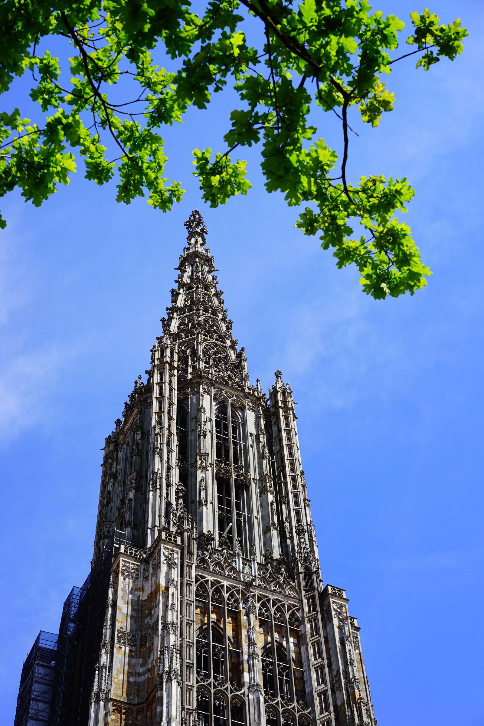 Sony a7 sample photo. Ulm cathedral, m nster photography