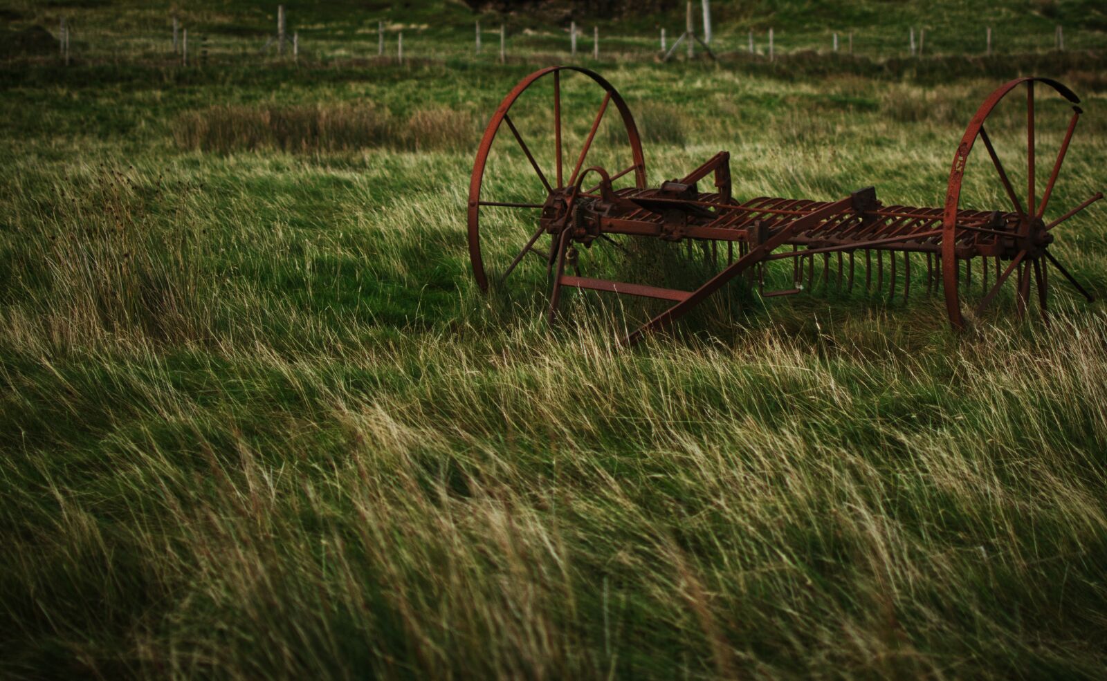 Nikon D5300 sample photo. Agriculture, device, rust photography