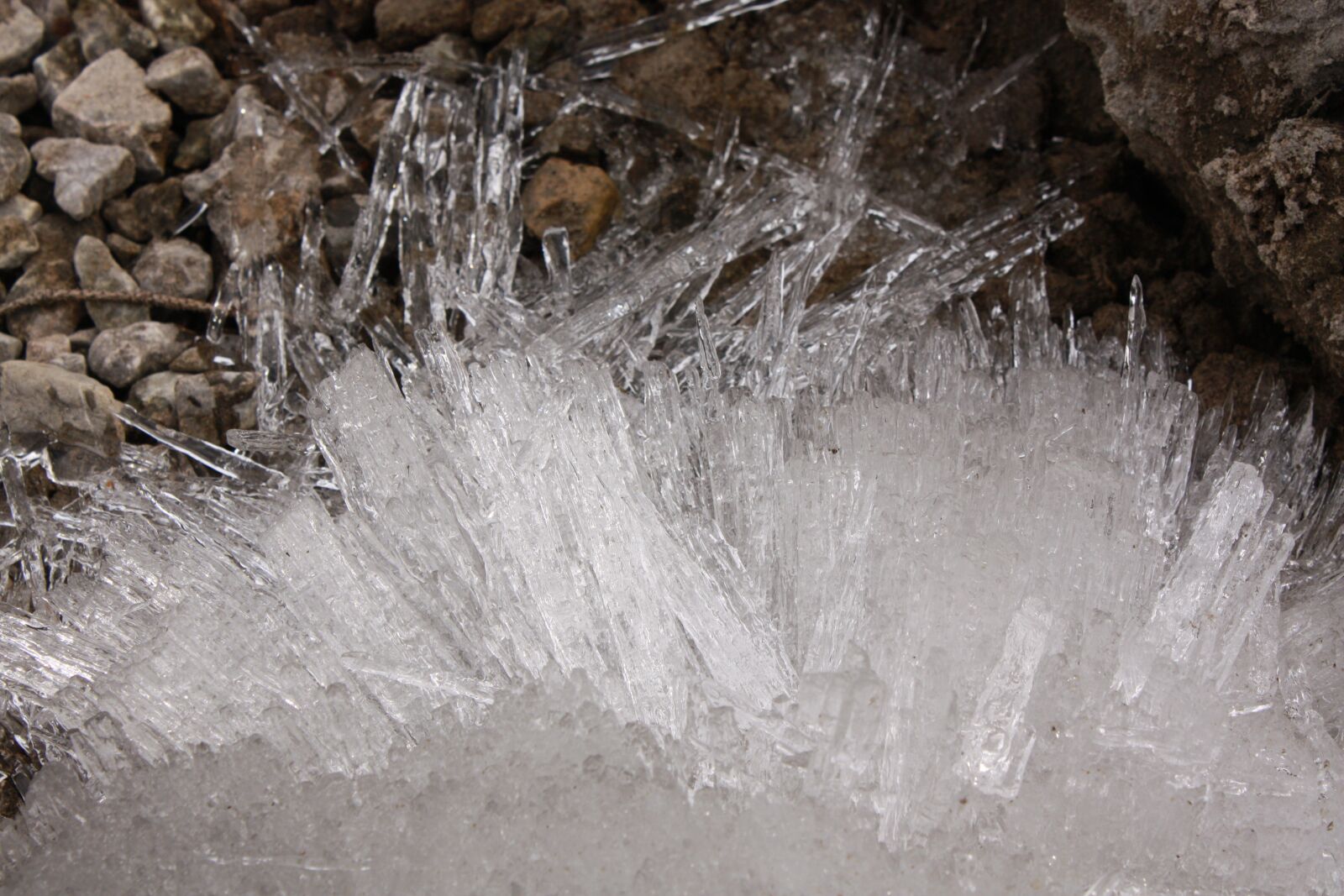 Canon EOS 450D (EOS Rebel XSi / EOS Kiss X2) sample photo. Ice, crystals, cold photography