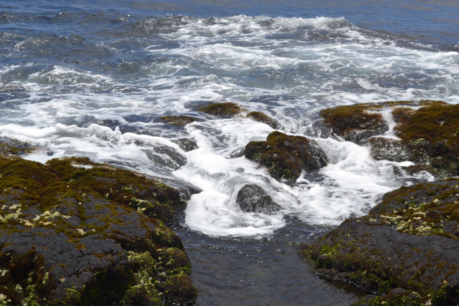Nikon D3100 sample photo. Hawaiian coast, waves, rocks photography