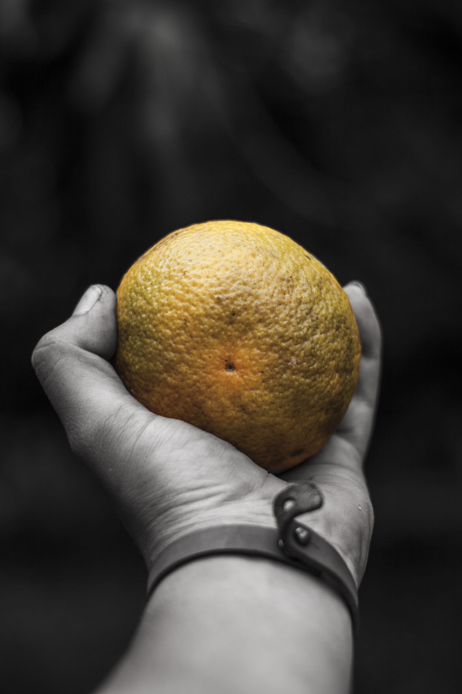 Canon EOS 50D sample photo. Orange, black and white photography