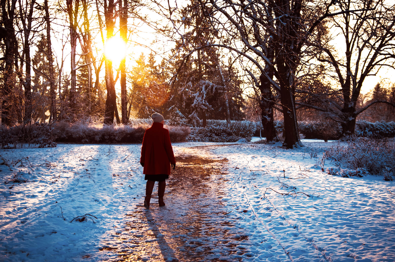 KONICA MINOLTA DYNAX 7D sample photo. Cold, dawn, dusk, nature photography