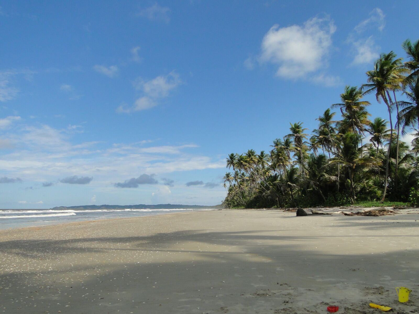 Sony Cyber-shot DSC-HX1 sample photo. Coconut trees, coastline, coast photography