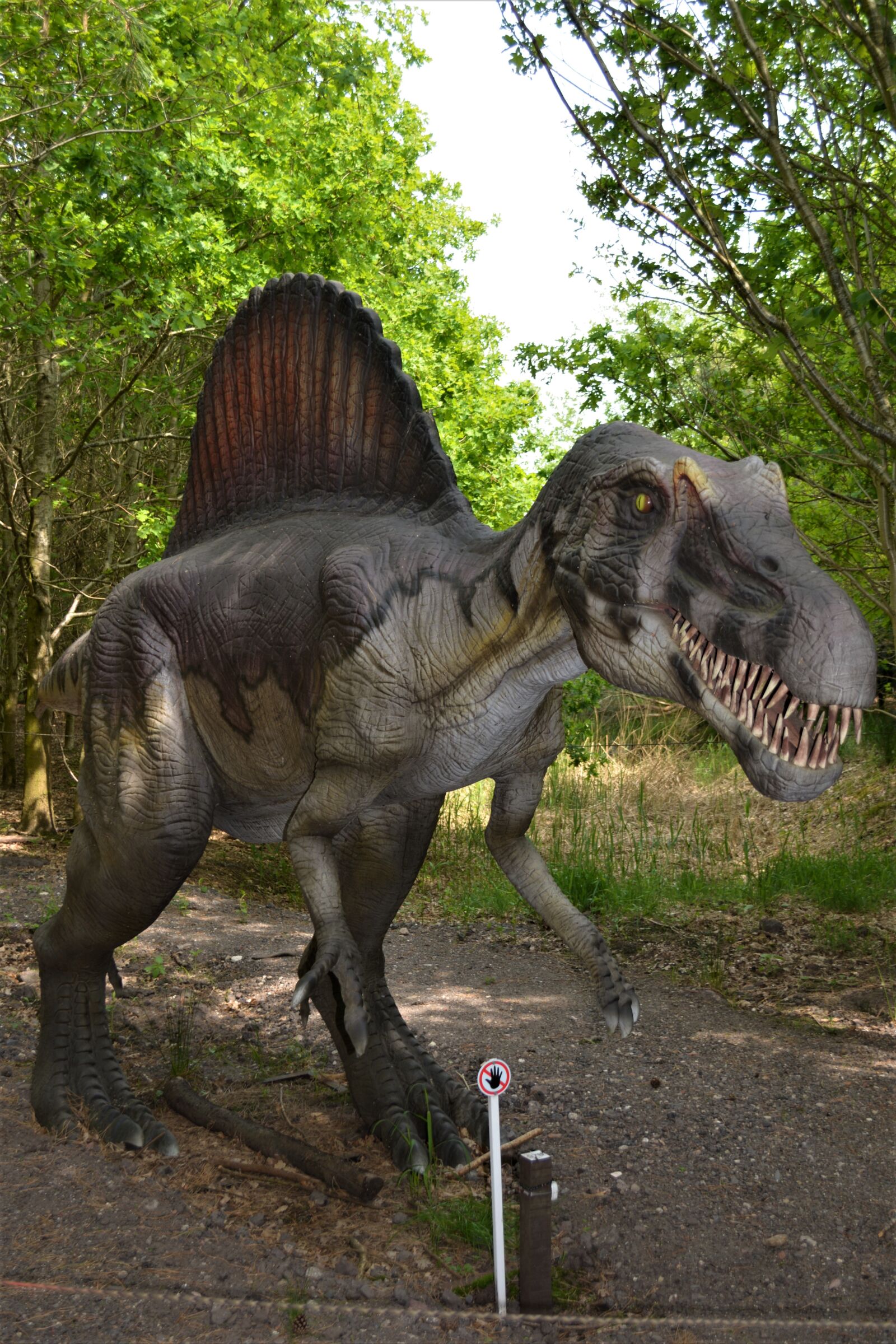 Nikon D5200 sample photo. Dinosaur, dino, carnivorous dinosaurs photography