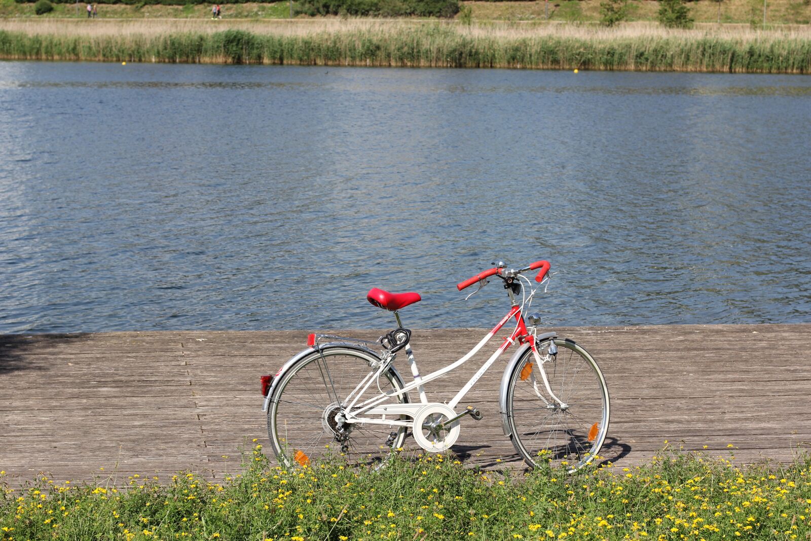 Canon EOS 60D + Canon EF 50mm F1.4 USM sample photo. Bike, leisure, cycling photography
