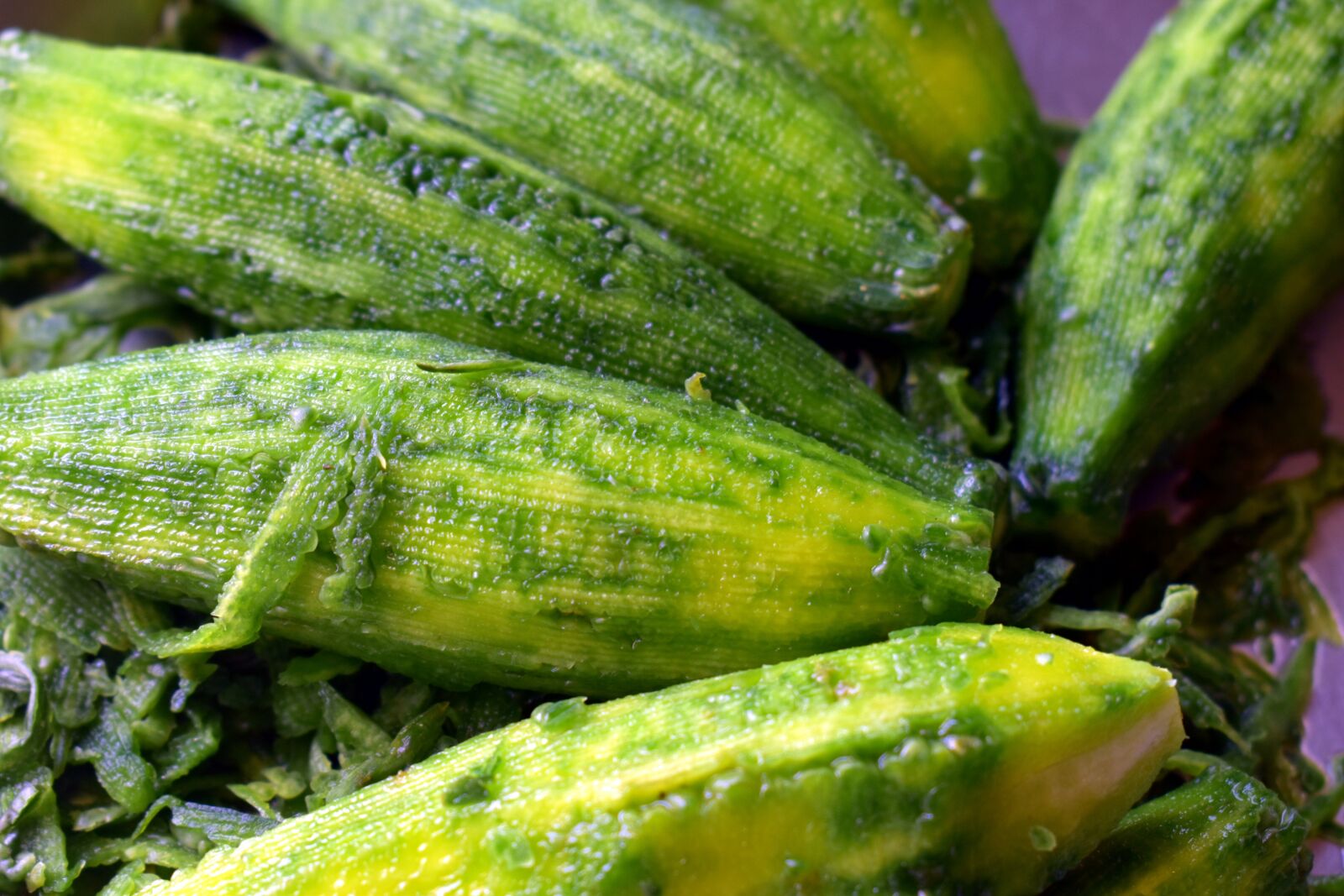 Nikon D5600 sample photo. Bitter melon, bitter gourd photography