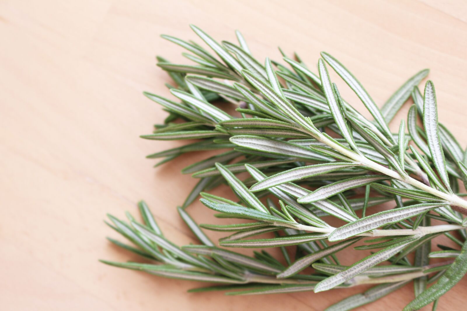 Canon EOS 700D (EOS Rebel T5i / EOS Kiss X7i) sample photo. Bundle, of, rosemary photography