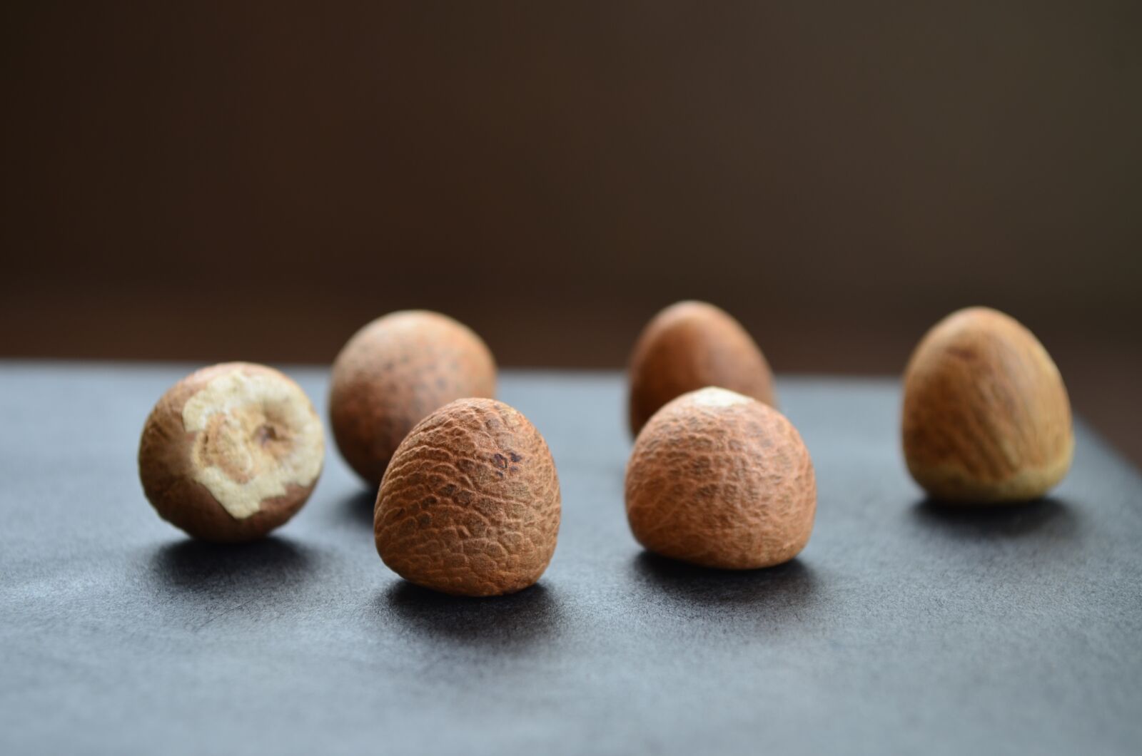 Nikon D5100 sample photo. Betel, nut, plant photography
