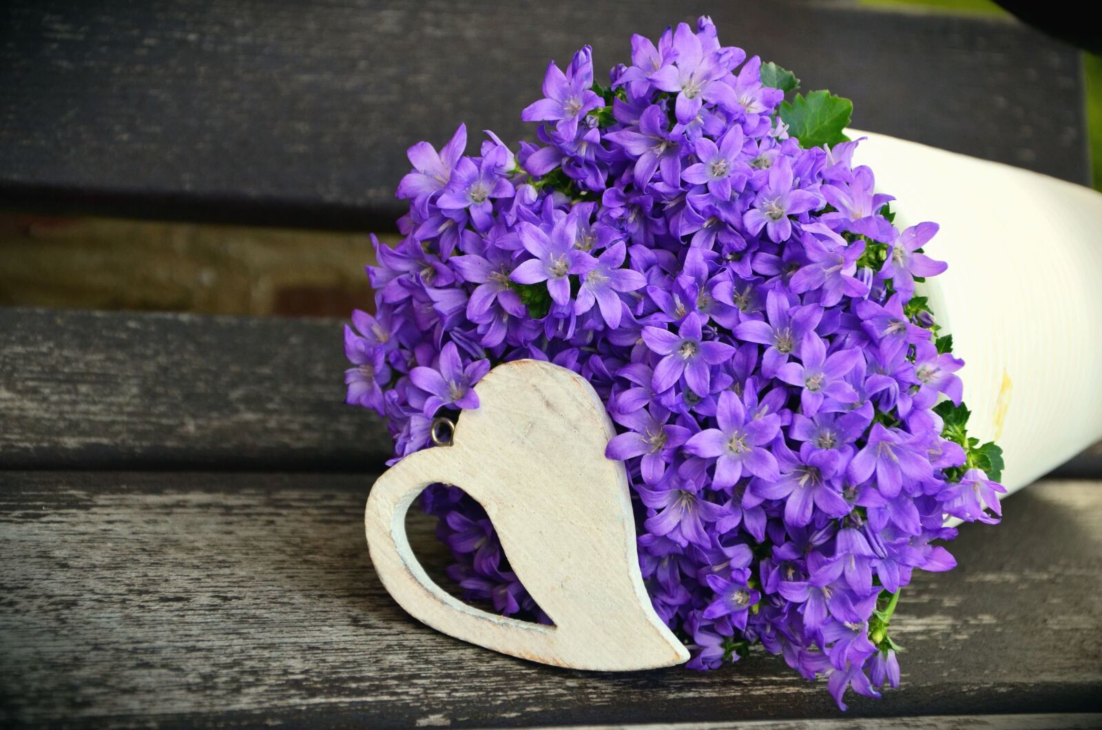 Nikon D5100 sample photo. Flower, romance, petal, bouquet photography