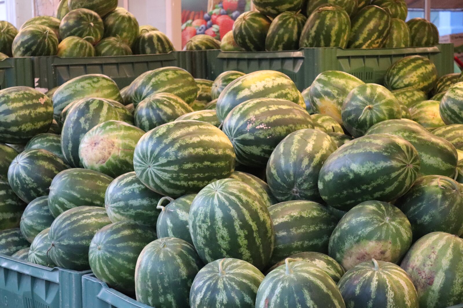 Canon EOS 200D (EOS Rebel SL2 / EOS Kiss X9) sample photo. Watermelon, sale, market photography