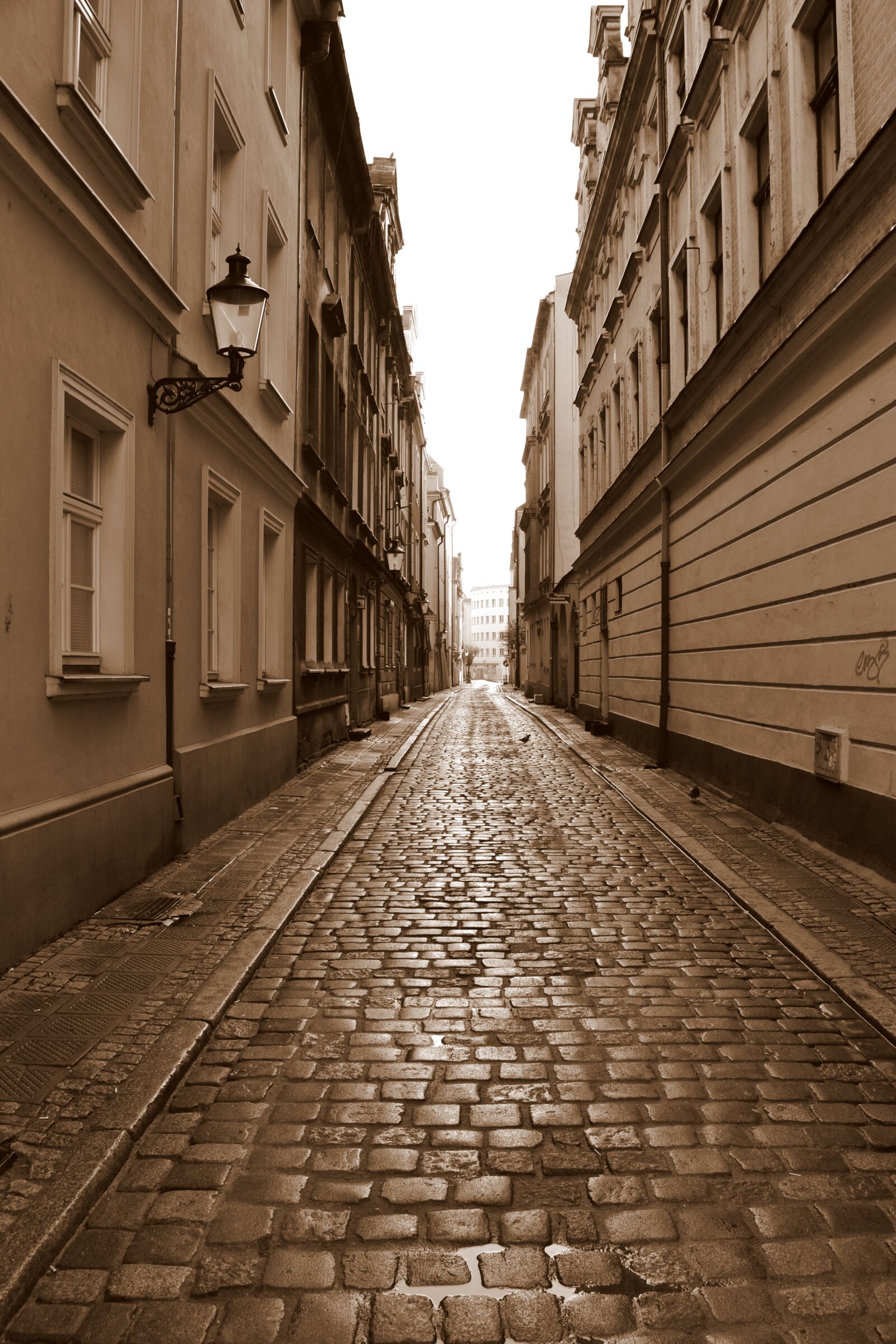 Nikon D3100 sample photo. Architecture, street, poland photography