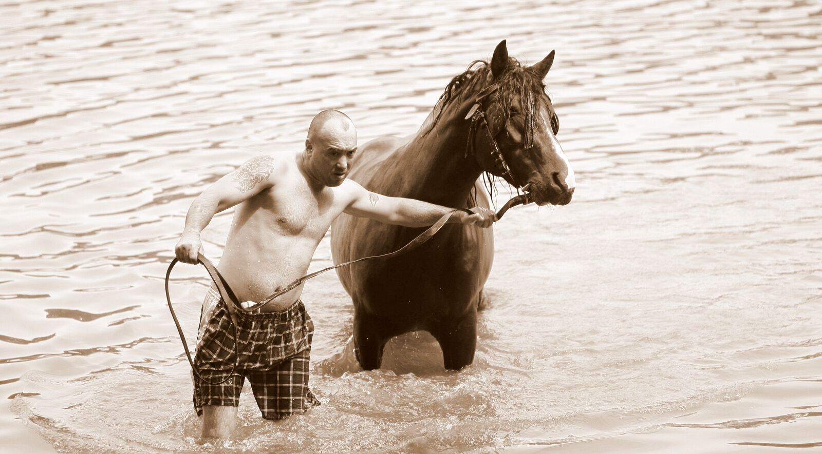 Canon EOS 450D (EOS Rebel XSi / EOS Kiss X2) sample photo. Horse, man, water photography
