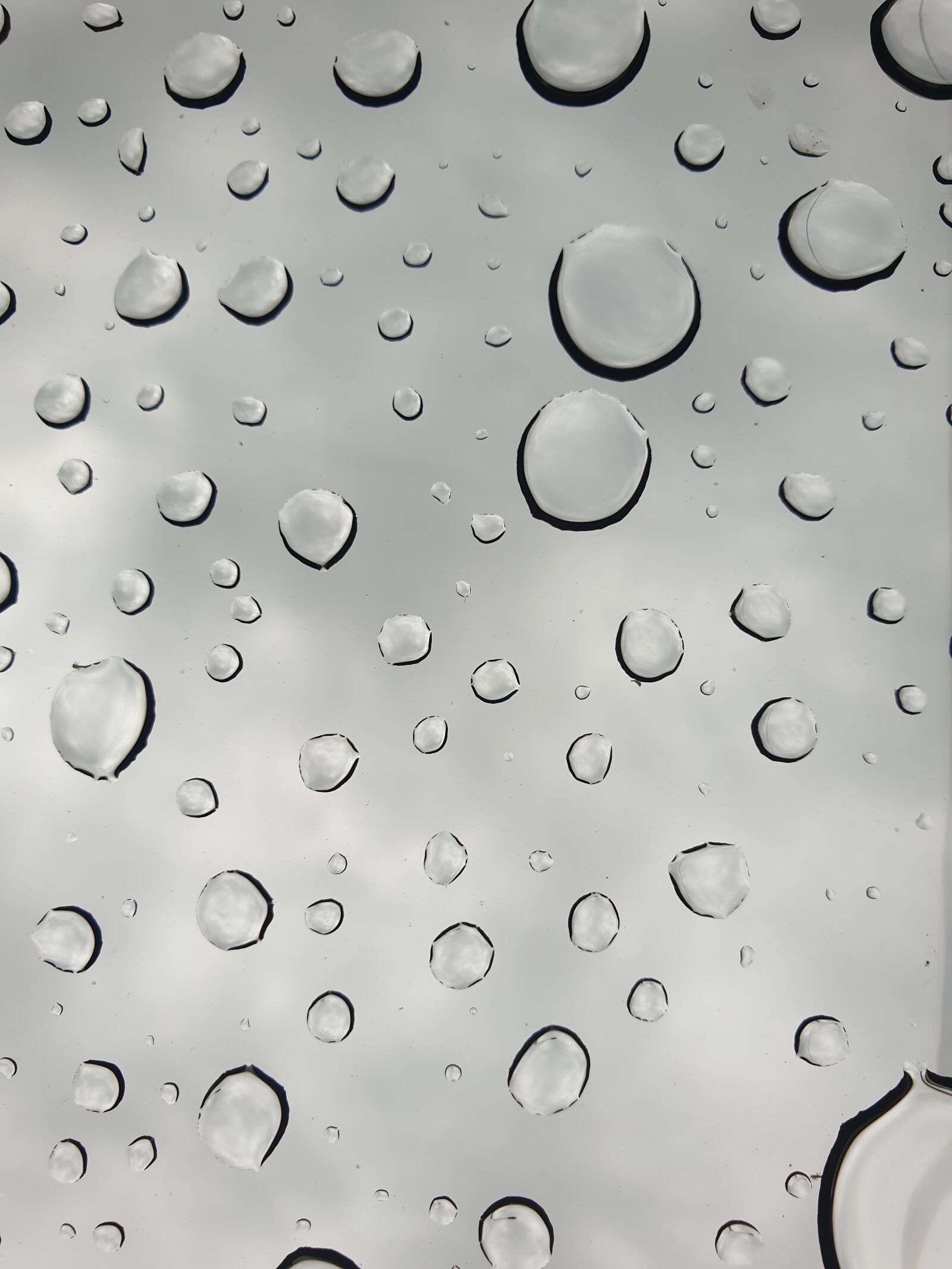Samsung Galaxy S9 sample photo. Raindrops, drops, glass photography