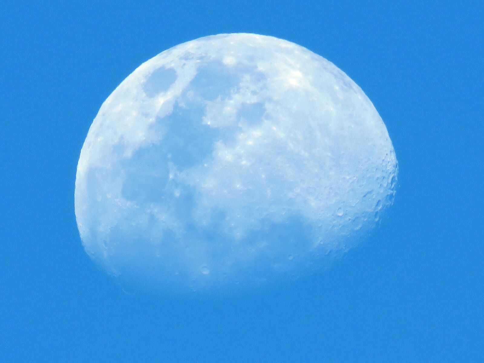 Canon PowerShot SX60 HS sample photo