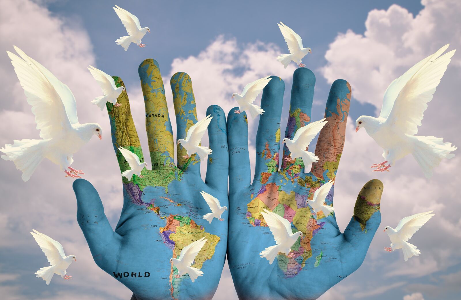 Nikon D800 sample photo. World, harmony, continents photography