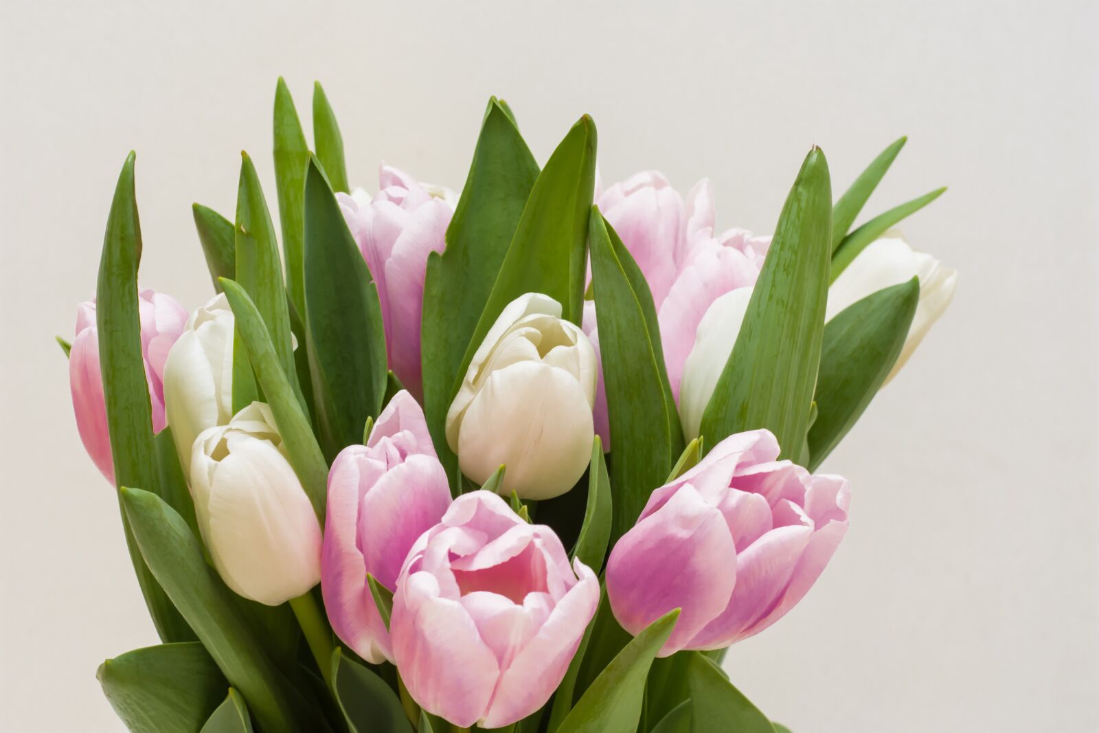 Nikon D7200 sample photo. Flowers, bouqet, nature photography