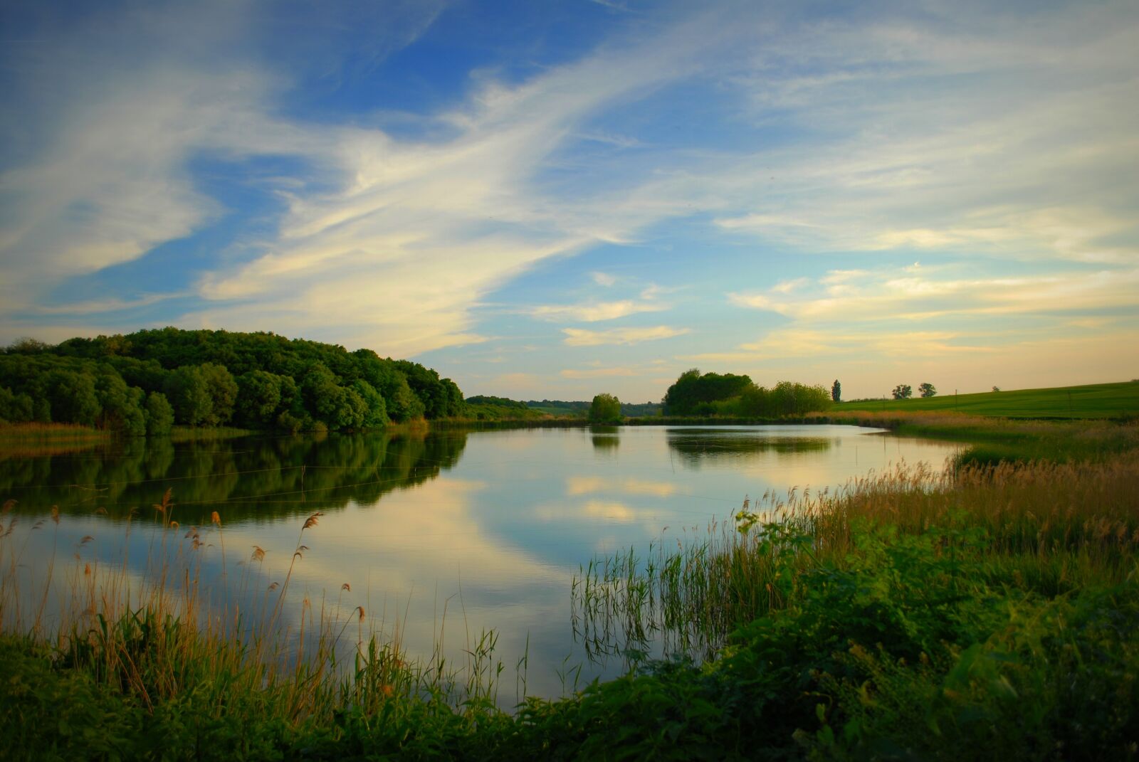 Nikon D200 sample photo. Nature, landscape, forest photography