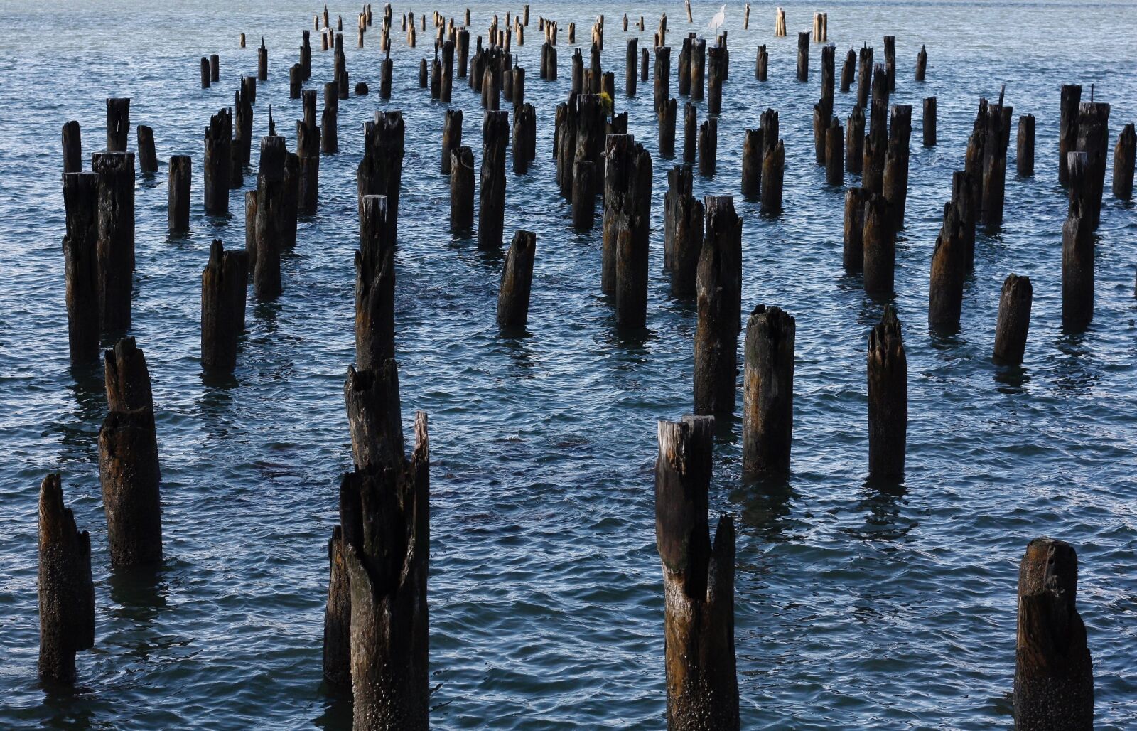 Canon EOS 450D (EOS Rebel XSi / EOS Kiss X2) sample photo. New york, docks, city photography