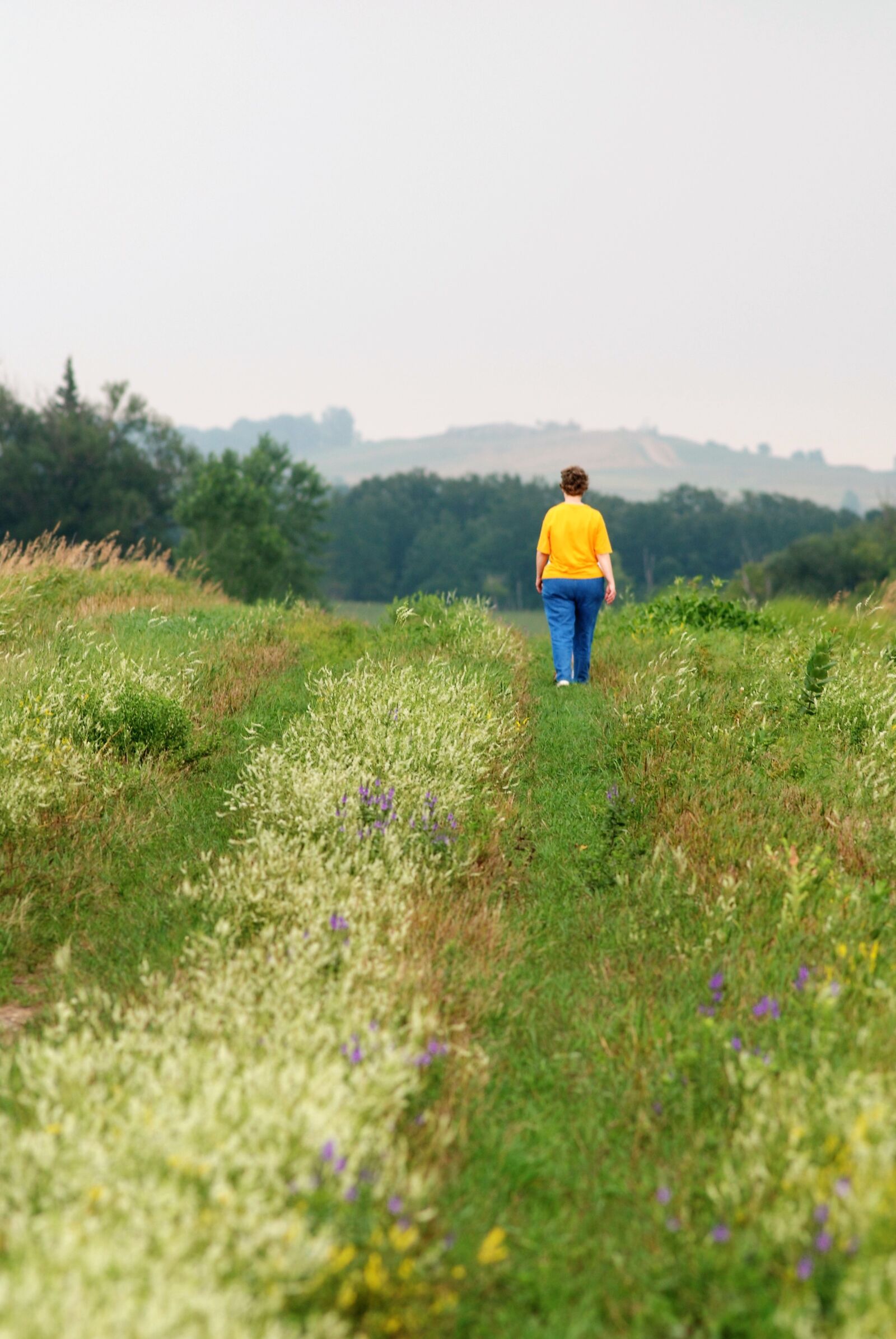 Nikon D80 sample photo. Alone, hiking, waling photography