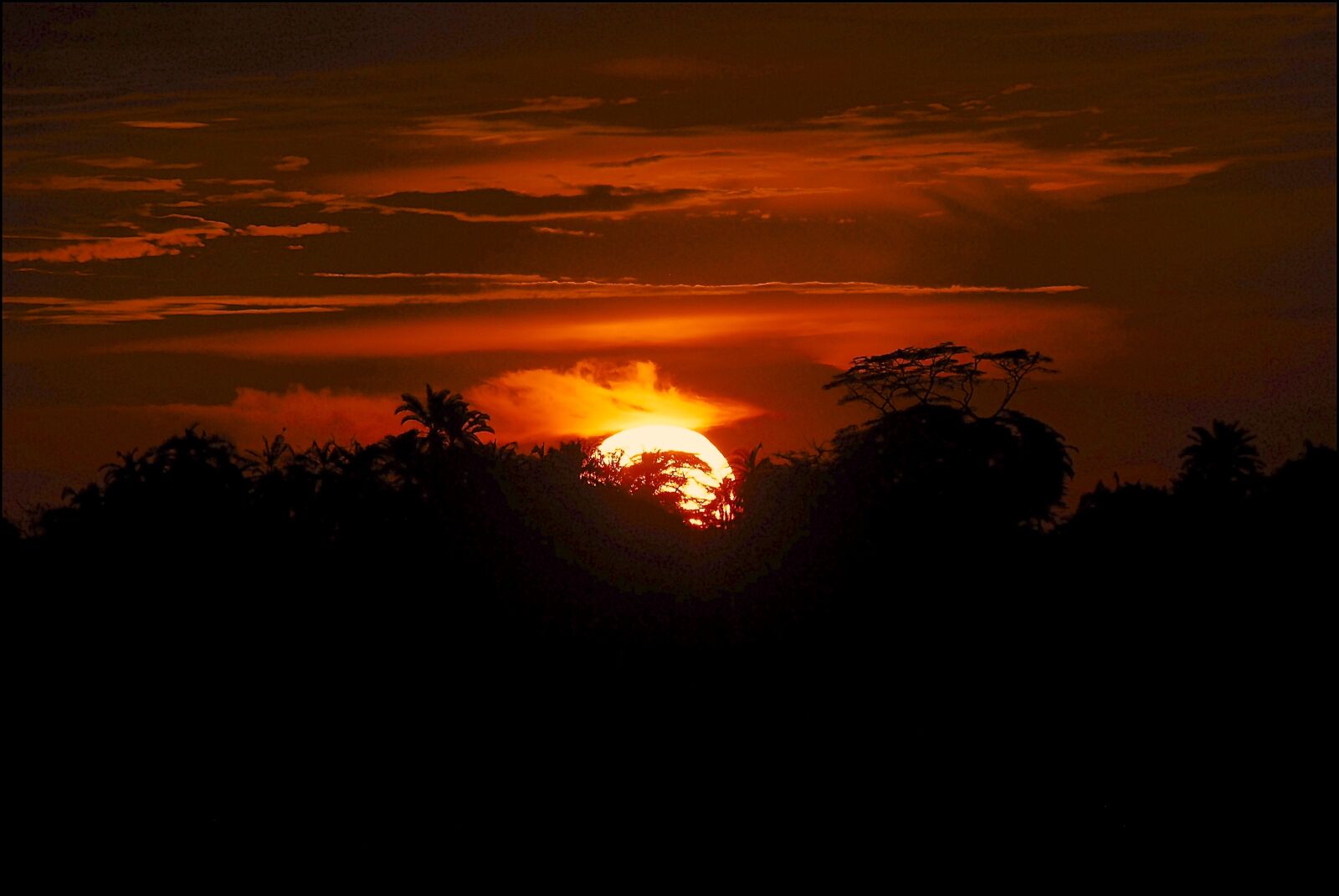 Nikon D200 sample photo. Africa, kenya, safari photography
