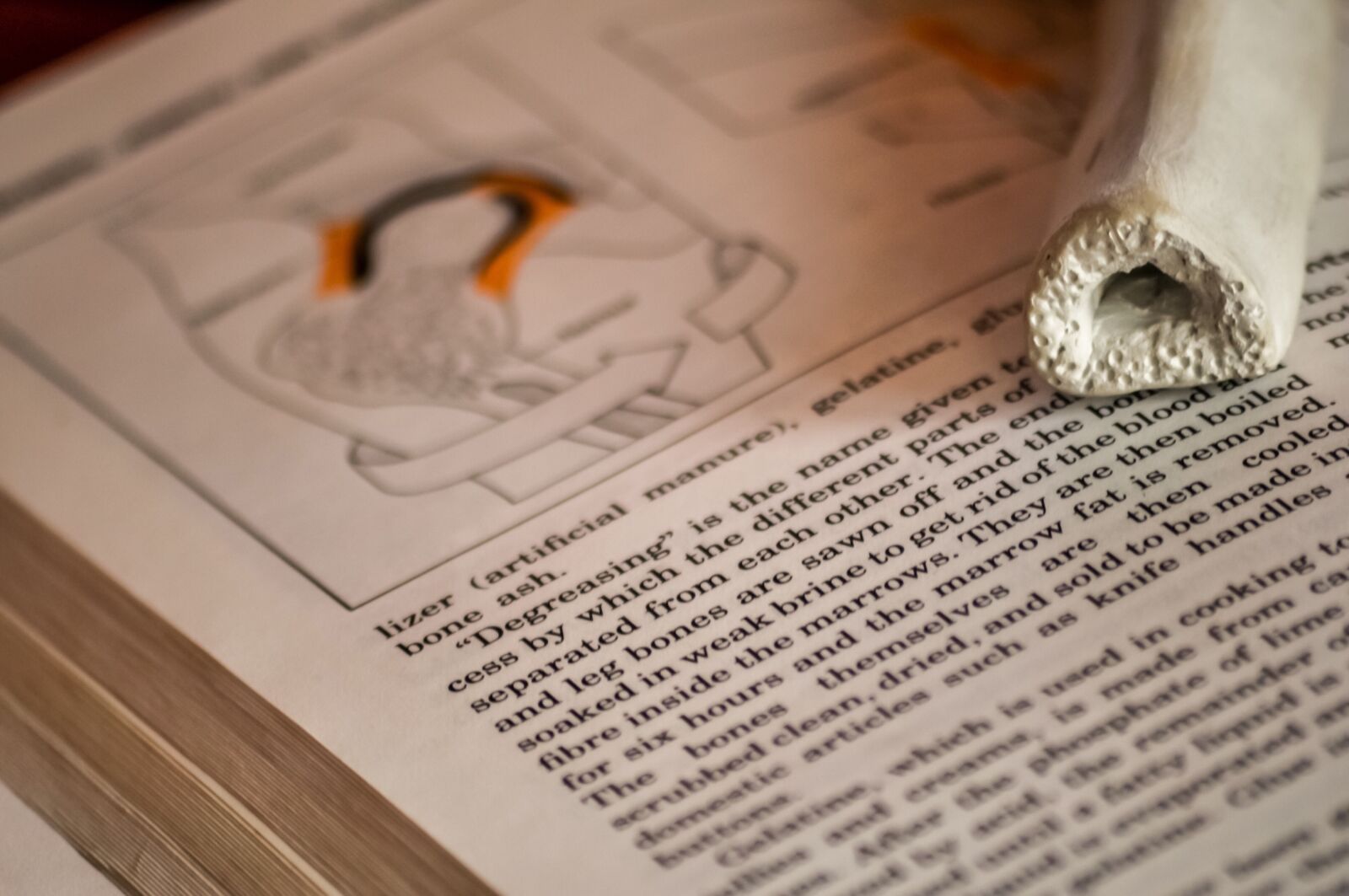 Nikon D90 sample photo. Encyclopedia, book, text photography