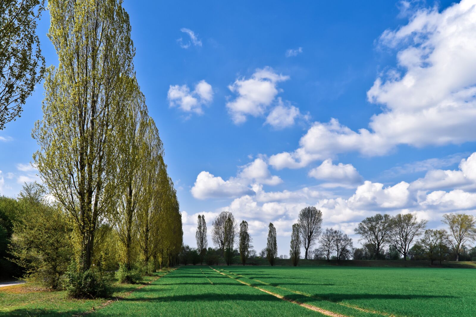 Nikon D3300 sample photo. Landscape, auen, nature photography