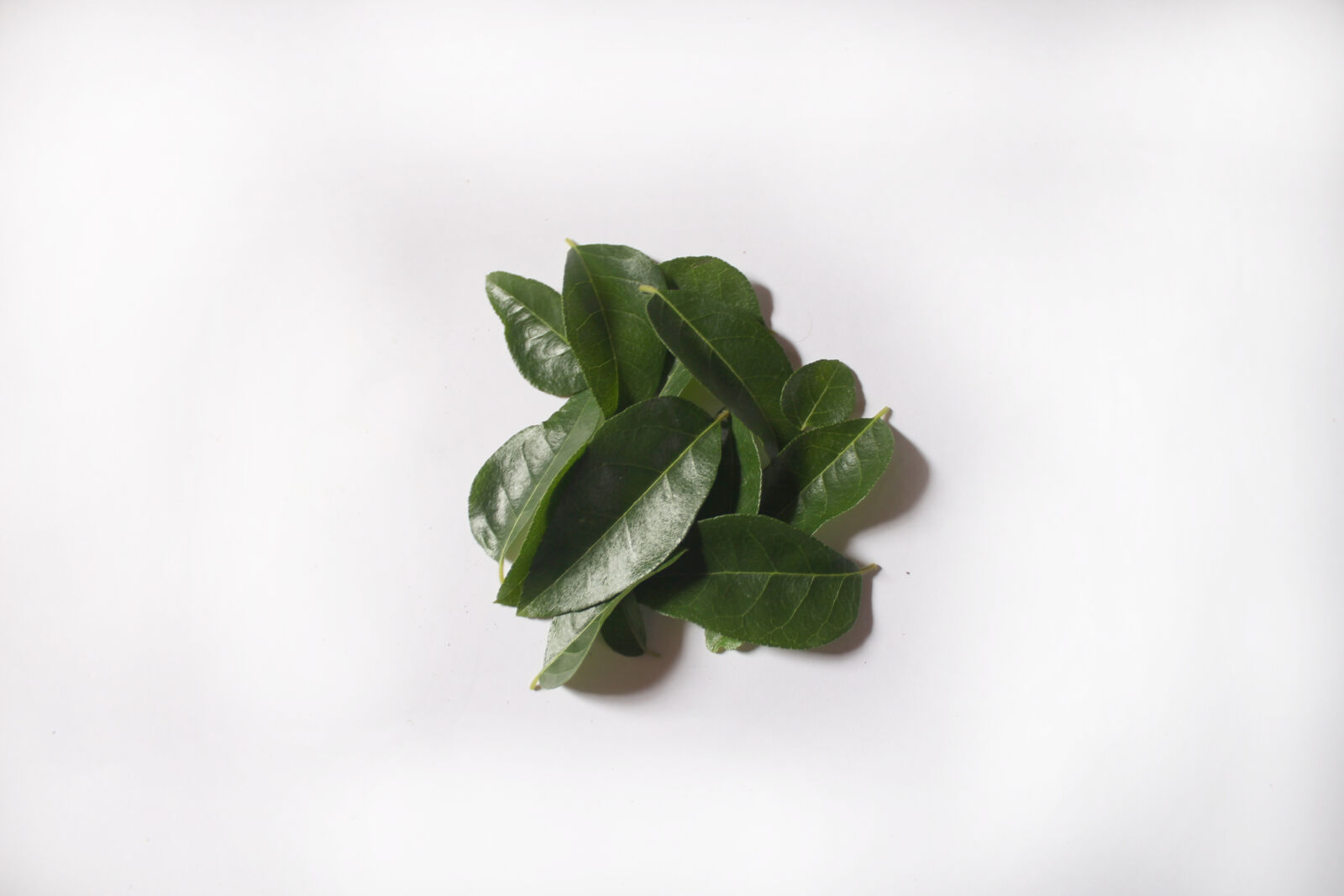 Canon EOS 700D (EOS Rebel T5i / EOS Kiss X7i) sample photo. Curry, leaves, dry, leaves photography
