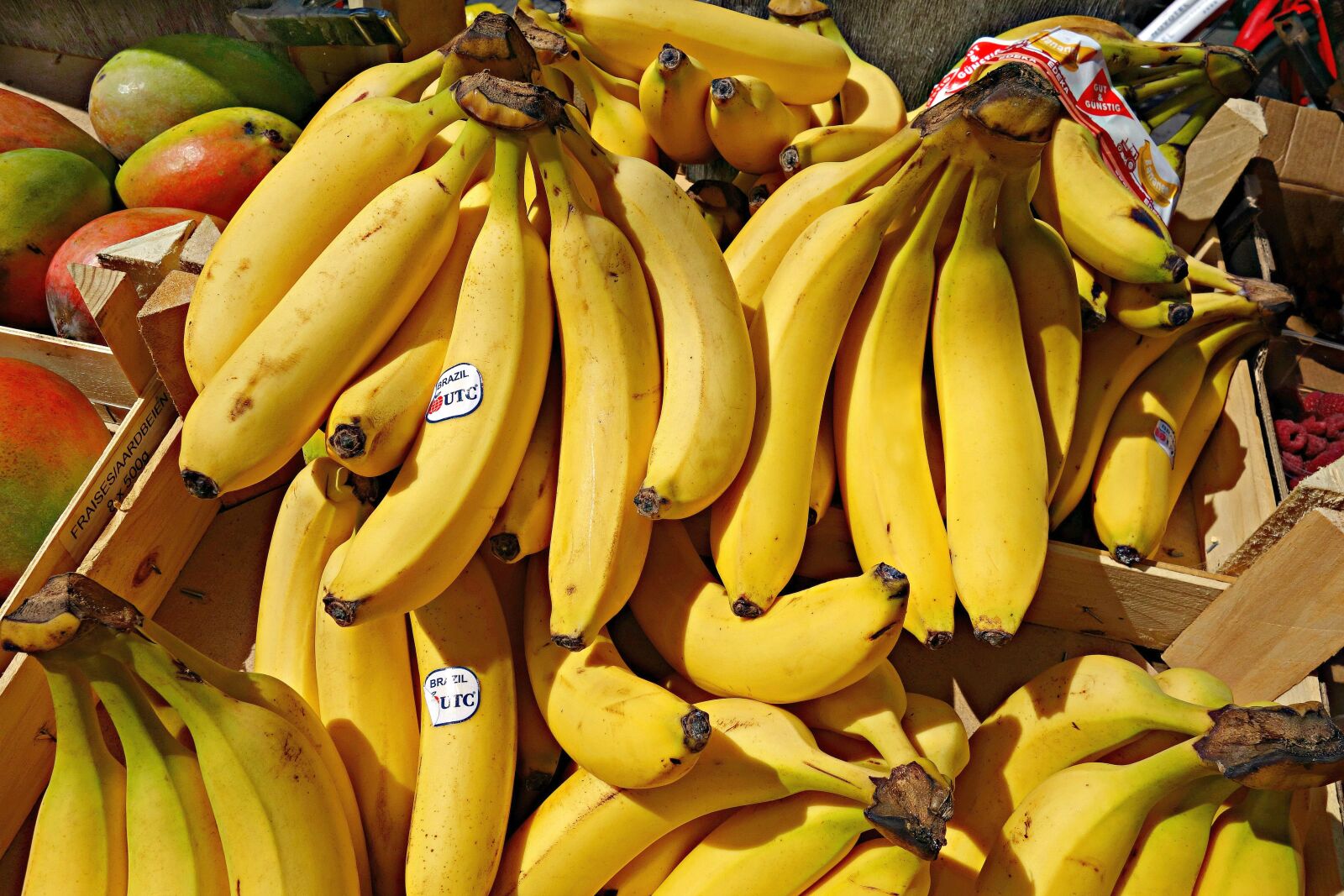 Sony Cyber-shot DSC-RX100 sample photo. Banana, bunch, diet, eating photography