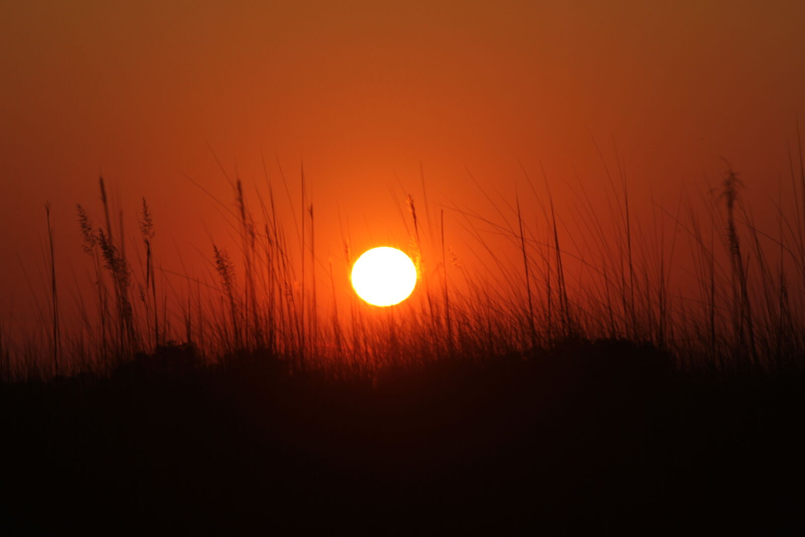 Canon EF 70-200mm F2.8L USM sample photo. Botswana, okawango, delta, sunset photography