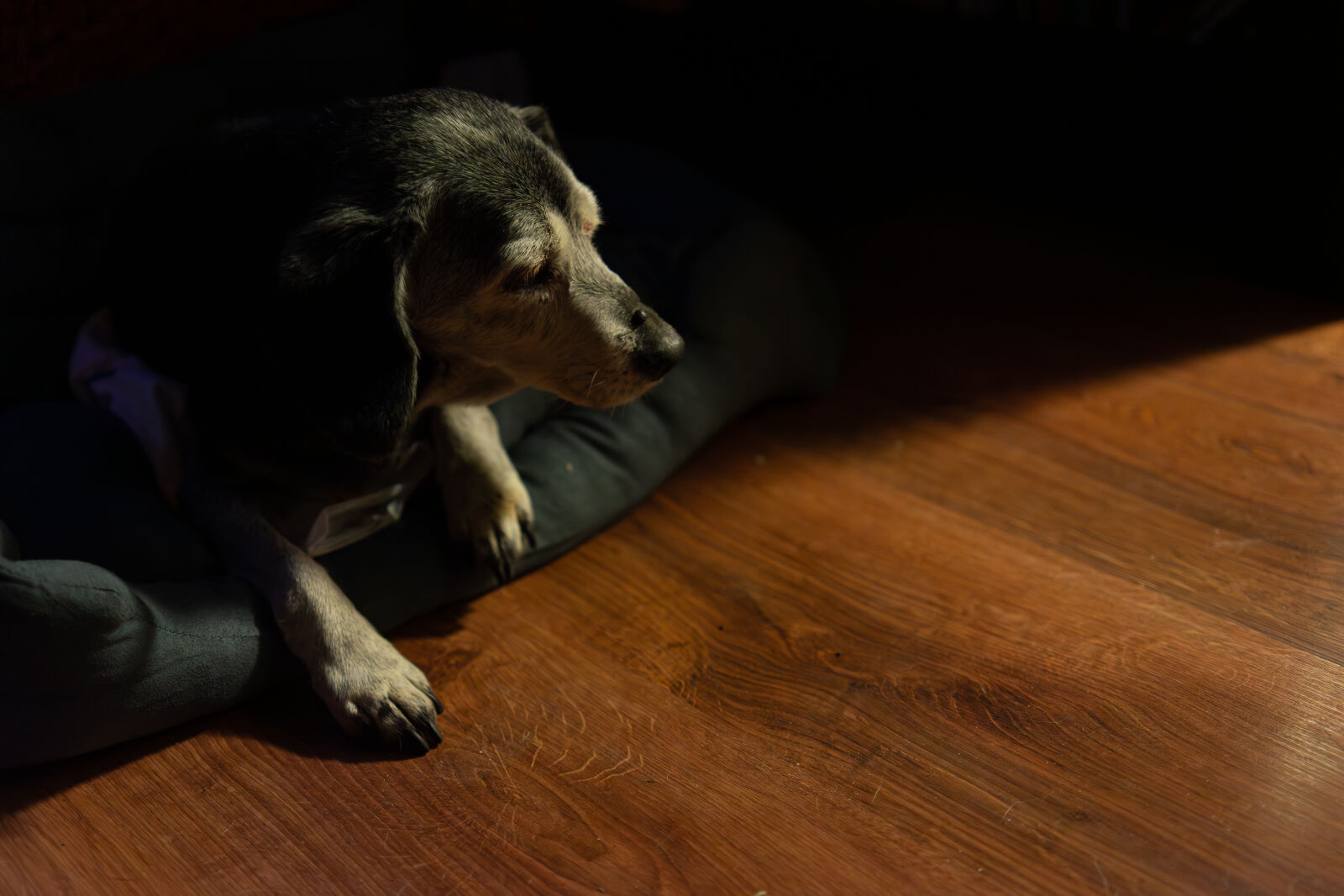 Samyang AF 35mm F1.8 FE sample photo