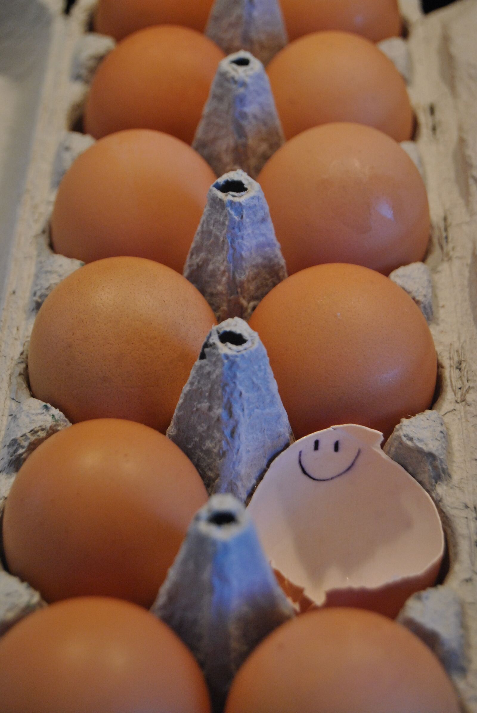 Nikon D3000 sample photo. Eggshell, smile, cheerful photography