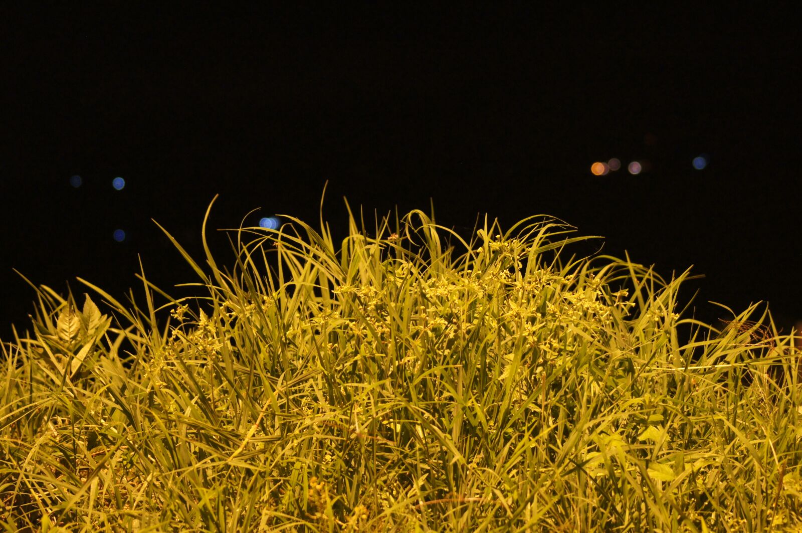 Sony SLT-A55 (SLT-A55V) sample photo. Night, landscapes, finlandia photography