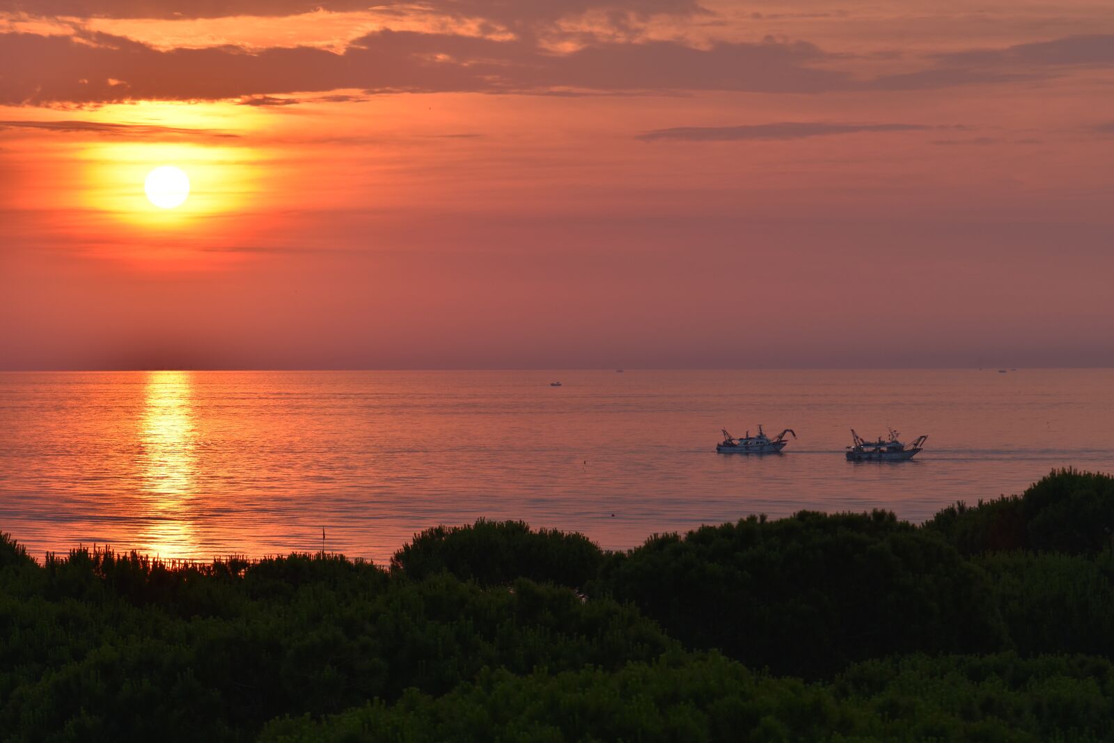 Nikon D5500 sample photo. Sunrise, morning, sun photography