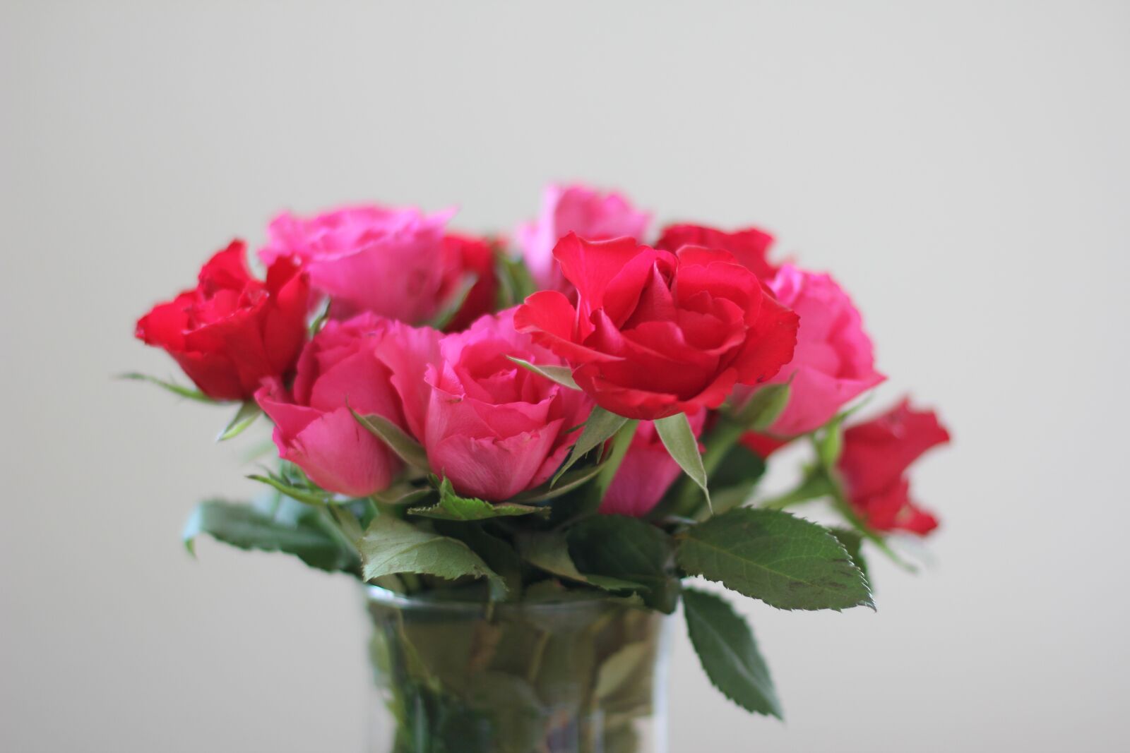 Canon EOS 60D + Canon EF 50mm F1.4 USM sample photo. Roses, strauss, red photography