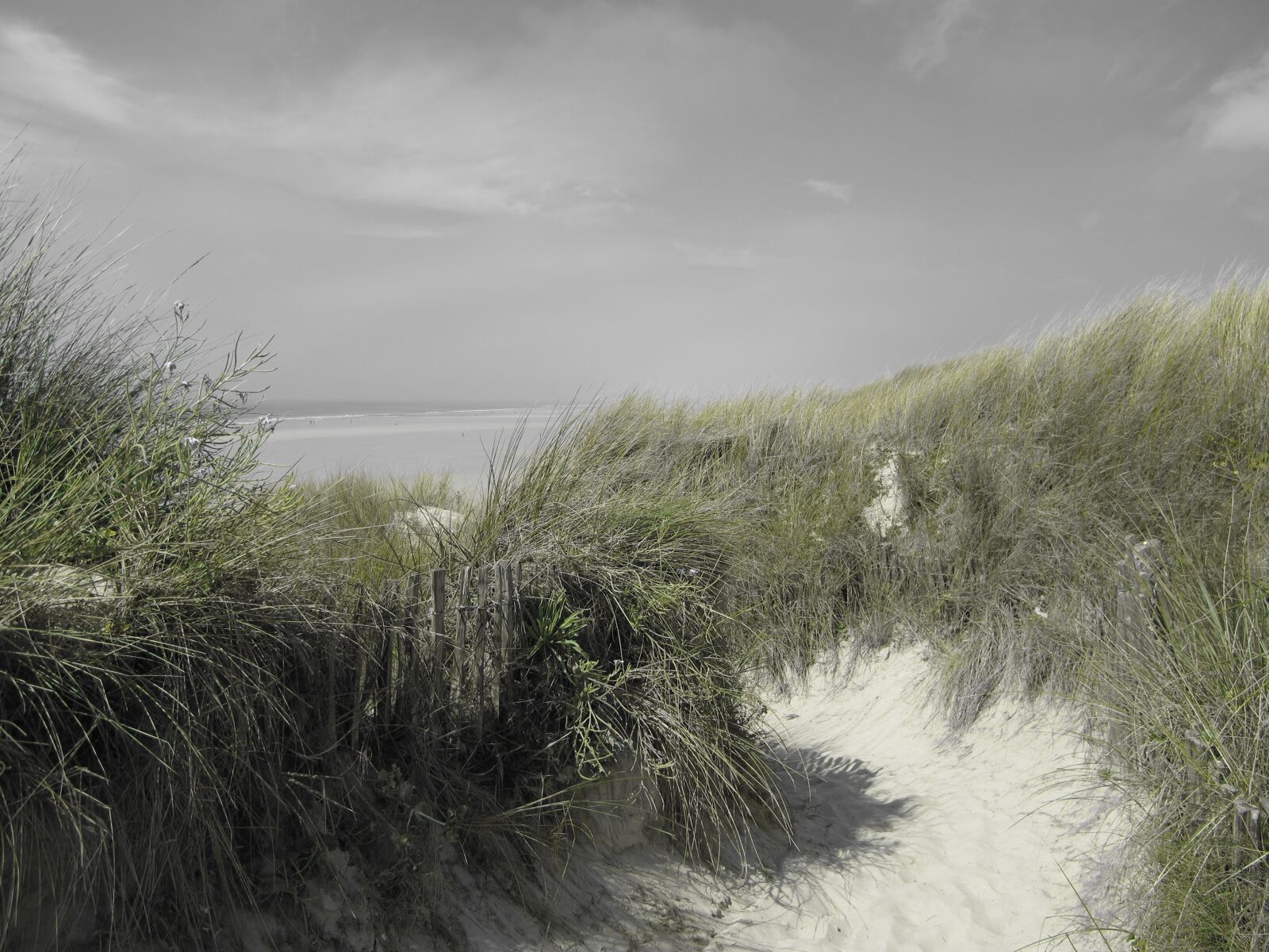 Canon PowerShot G12 sample photo. Brittany, beach, summer photography