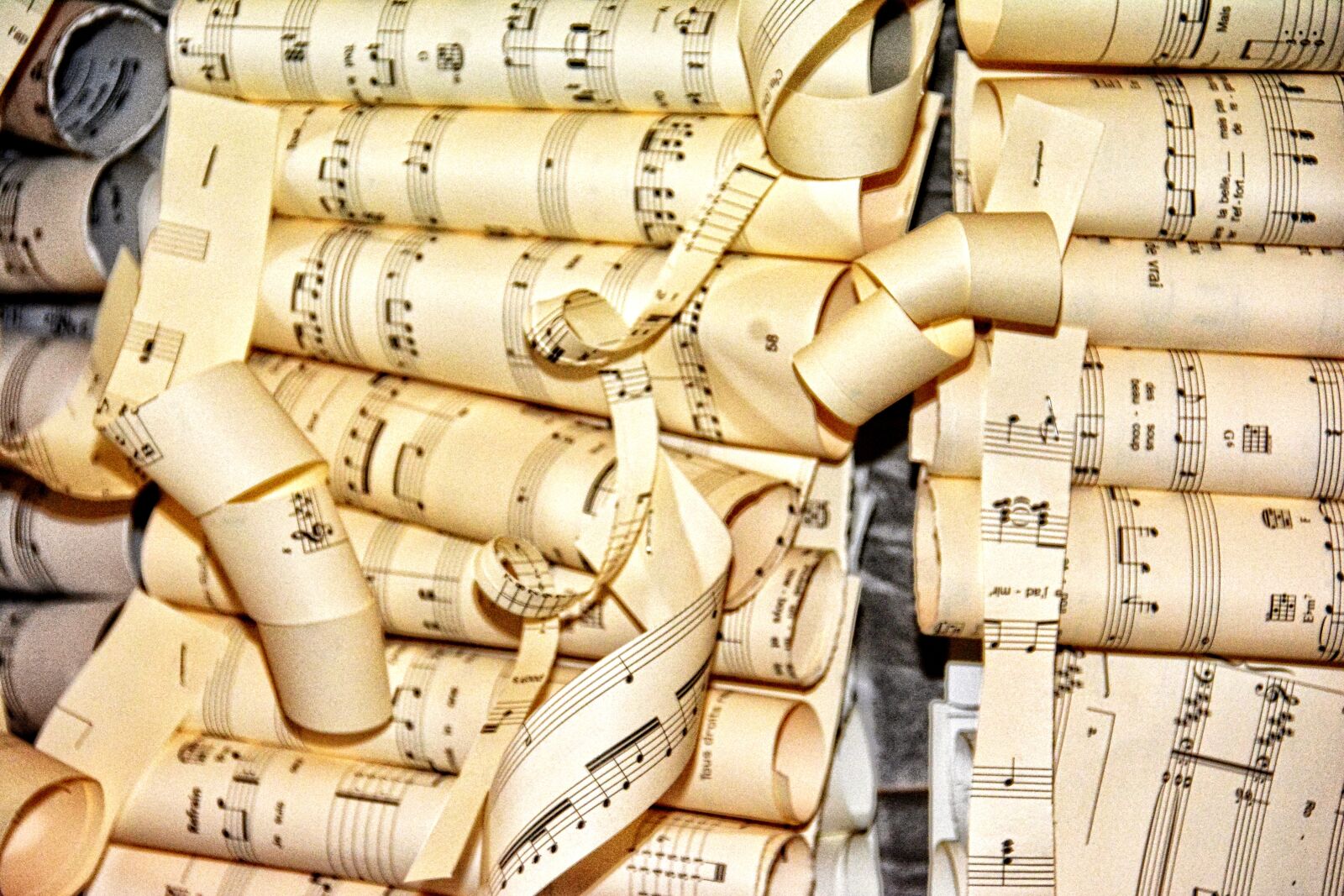 Nikon D7100 sample photo. Paper, parchment, roller photography