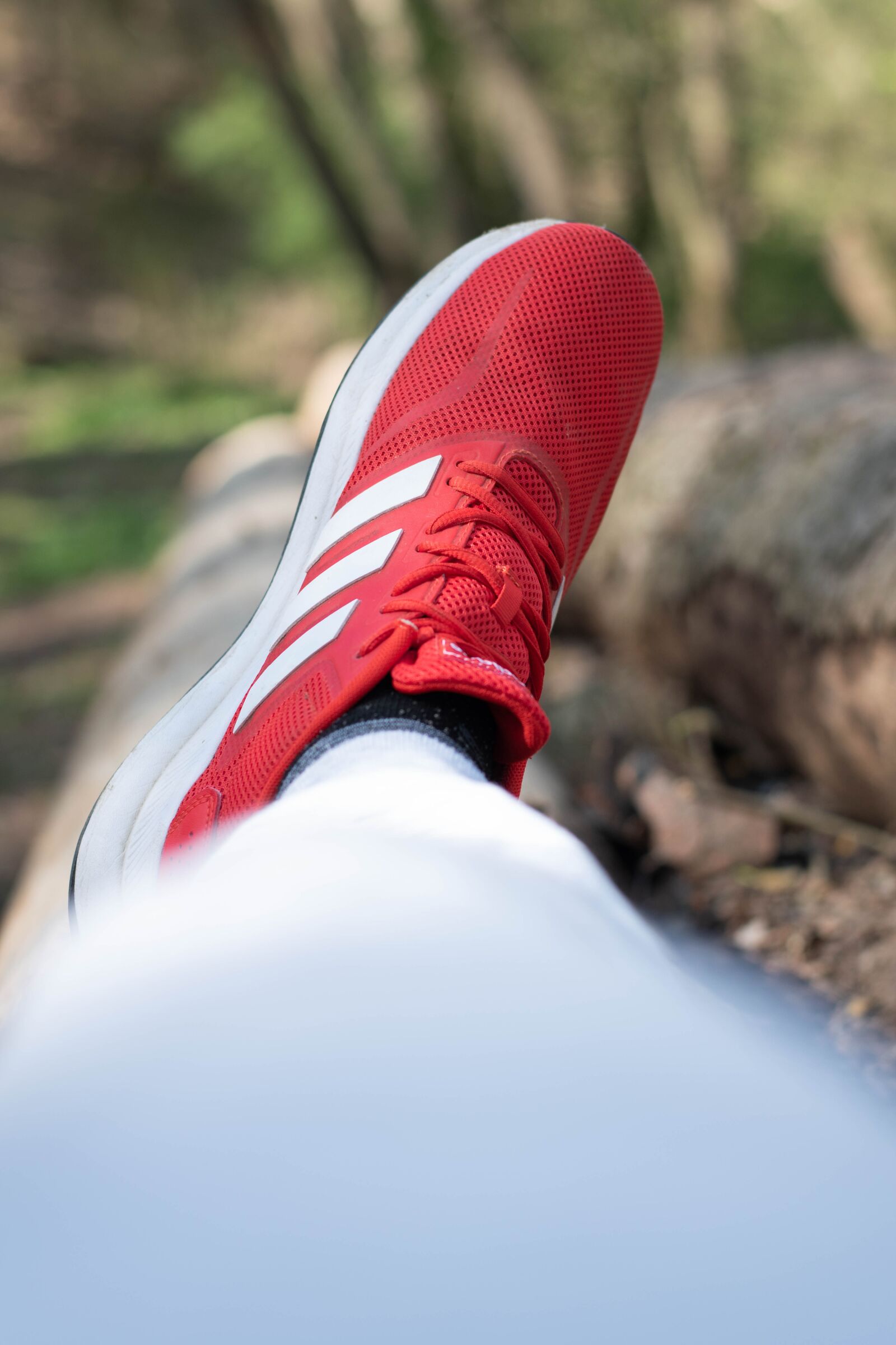 Nikon D5600 sample photo. Boots, forest, red photography
