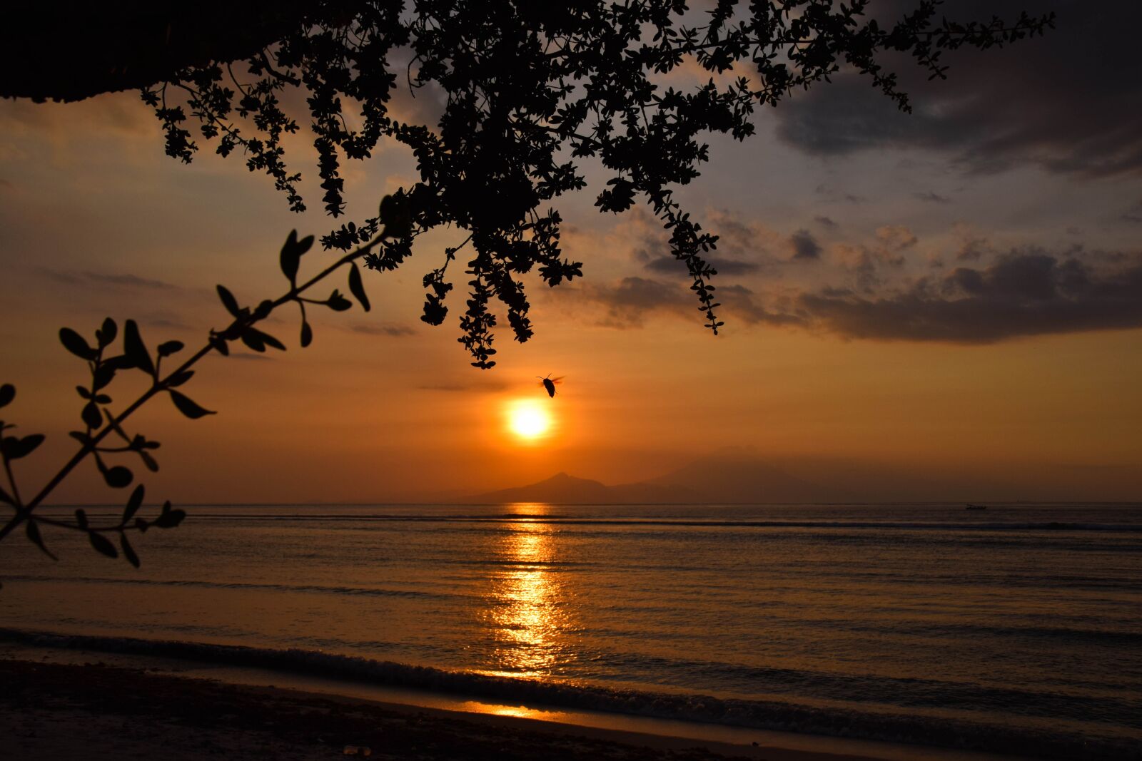 Nikon D3300 sample photo. Indonesia, travel, gili islands photography