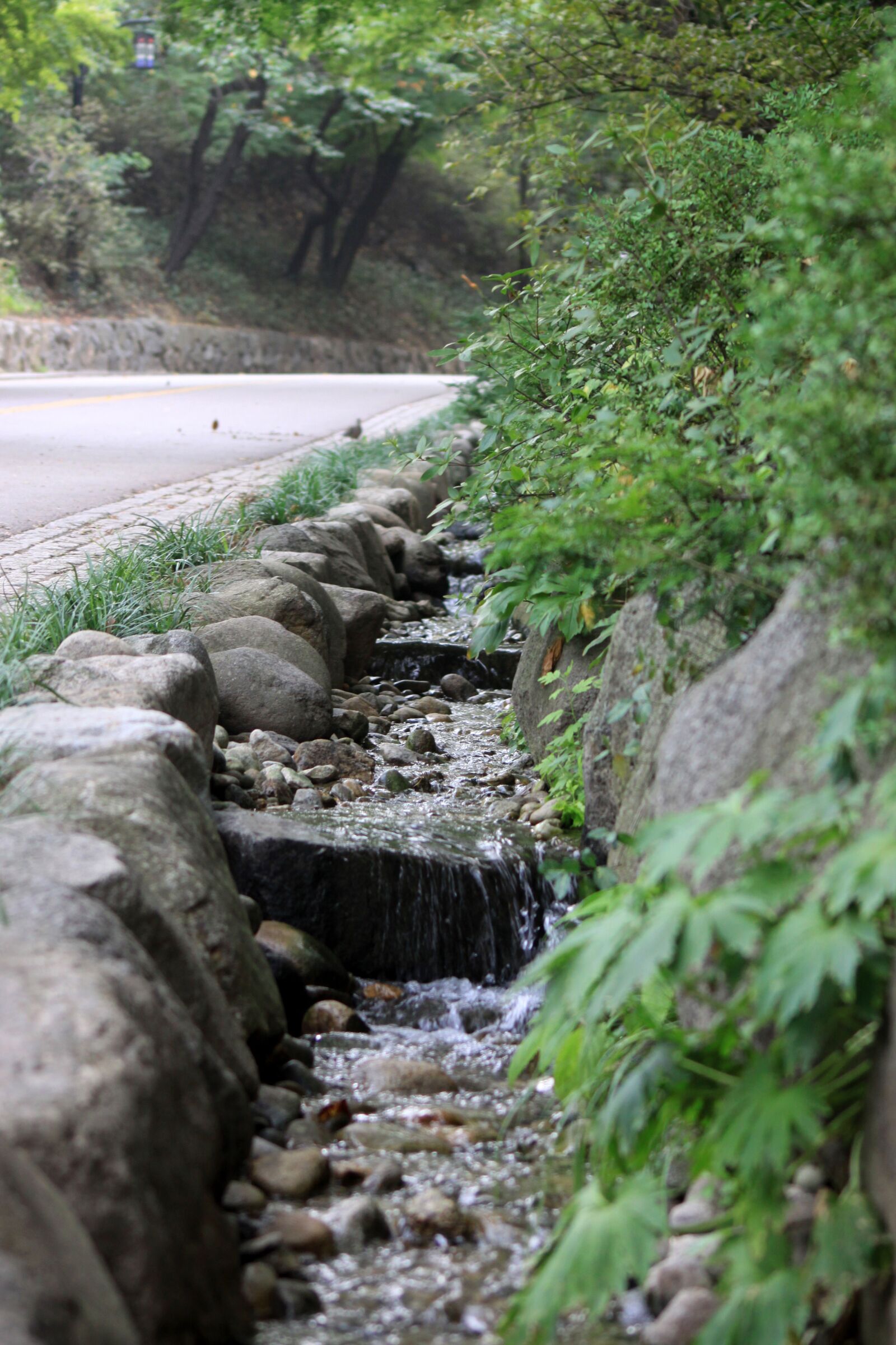 Canon EOS 50D sample photo. Trails, the creek, streams photography