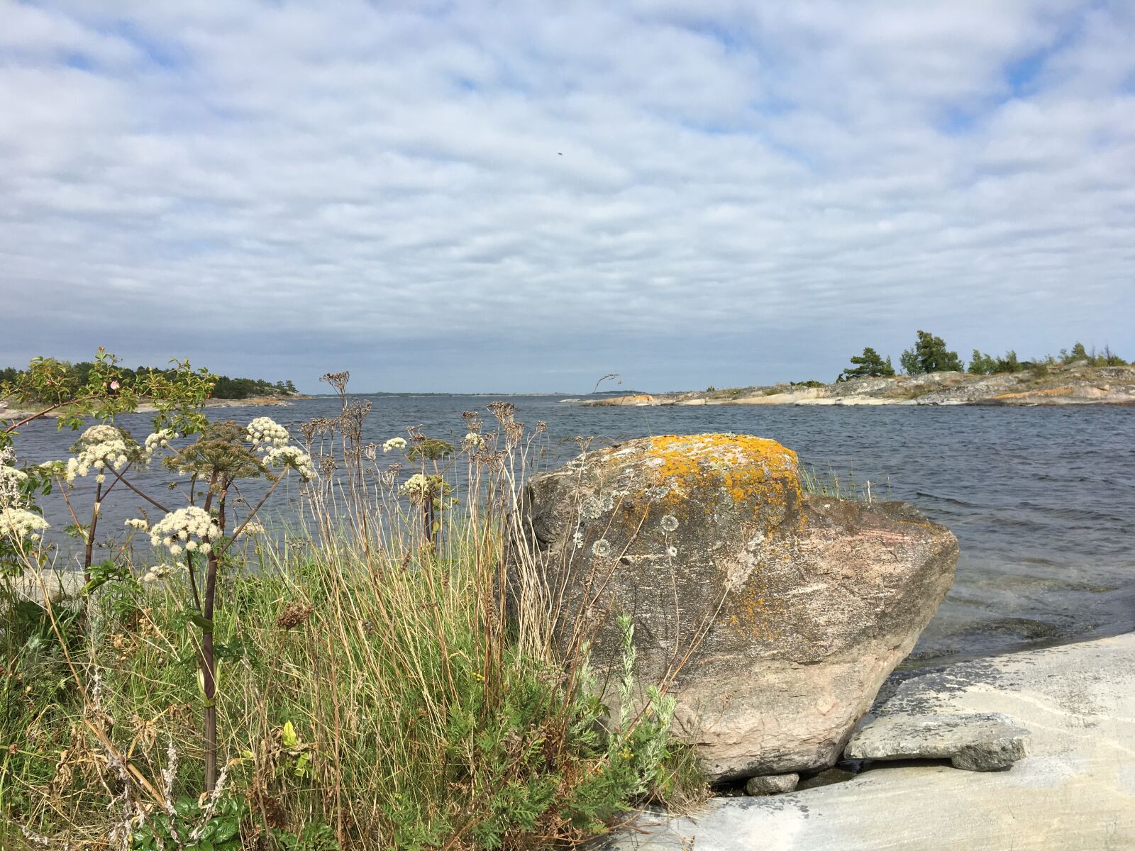 Apple iPhone 6s sample photo. Archipelago, nature, summer, sweden photography