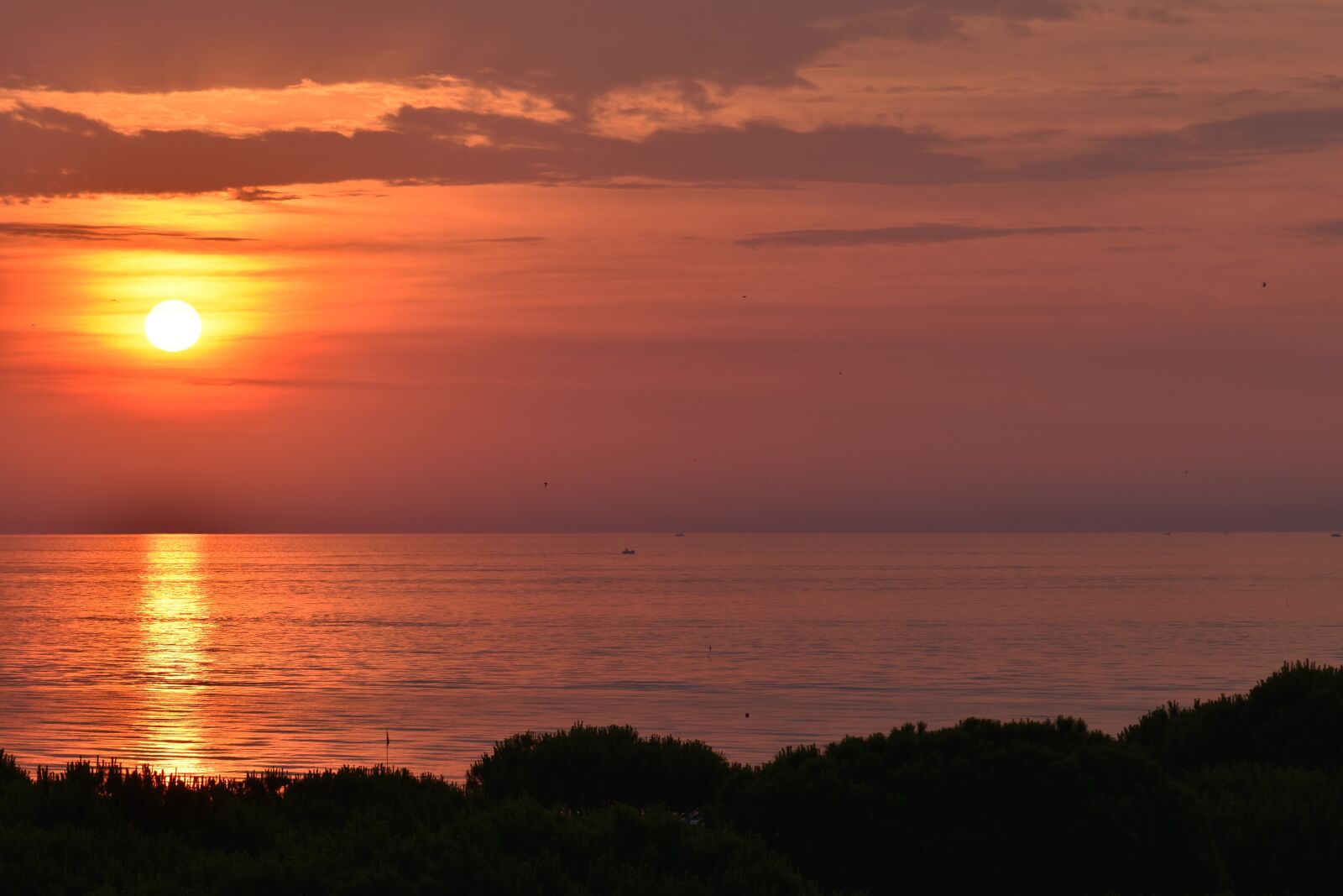 Nikon D5500 sample photo. Sunrise, morning, sun photography