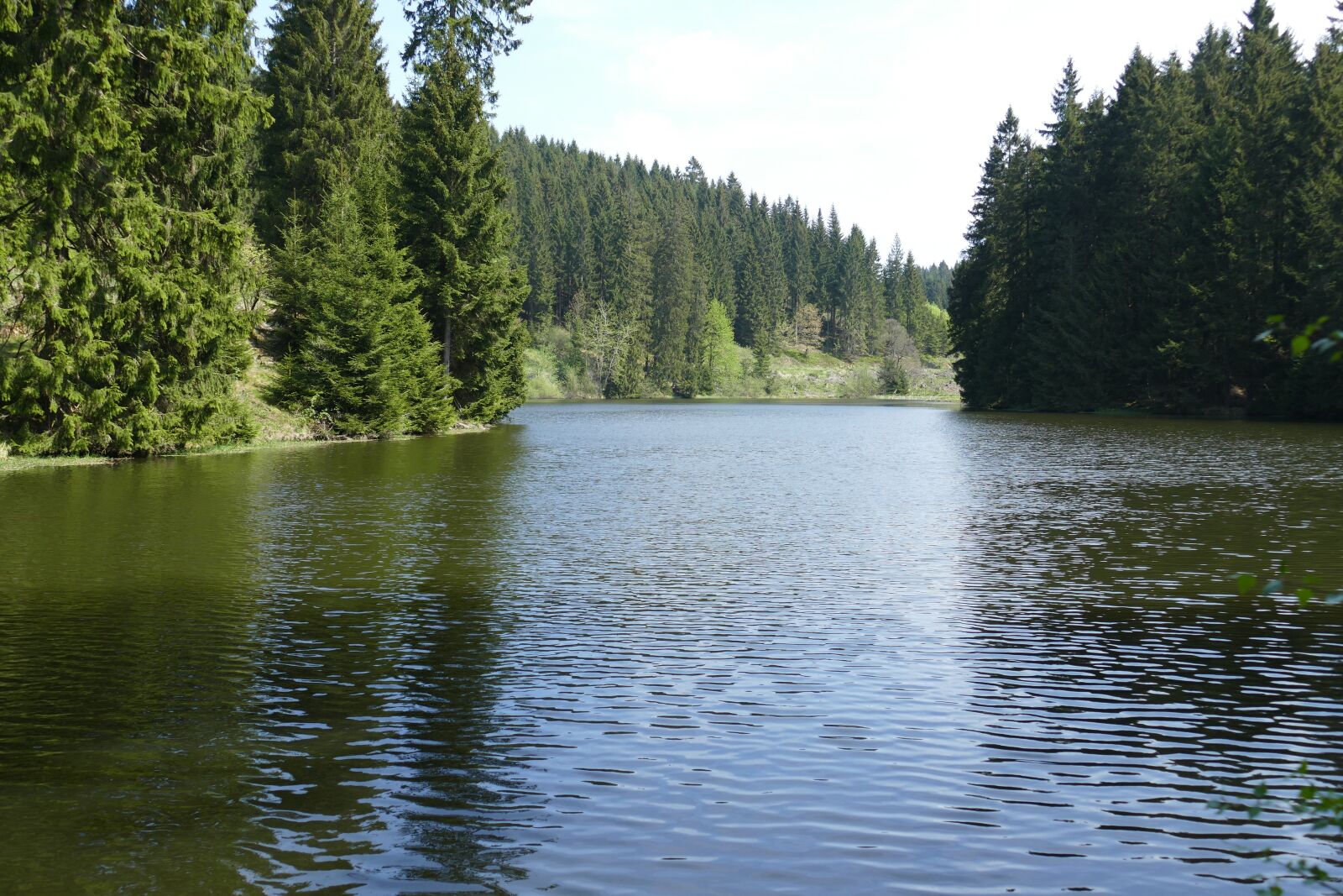 Panasonic Lumix DMC-FZ1000 sample photo. Grumbach pond, lake, water photography