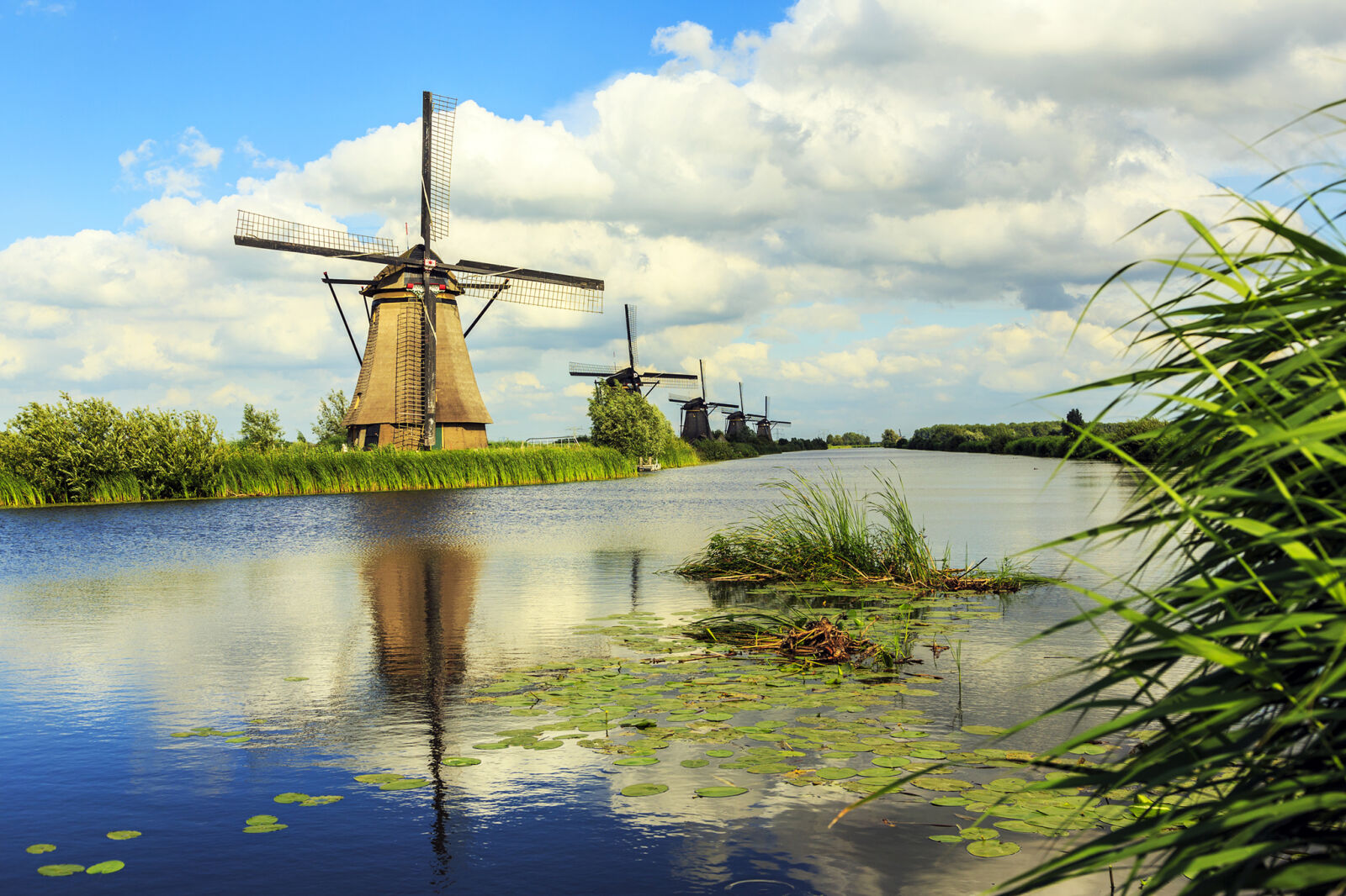 Canon EF 24-105mm F4L IS USM sample photo. Windmills photography