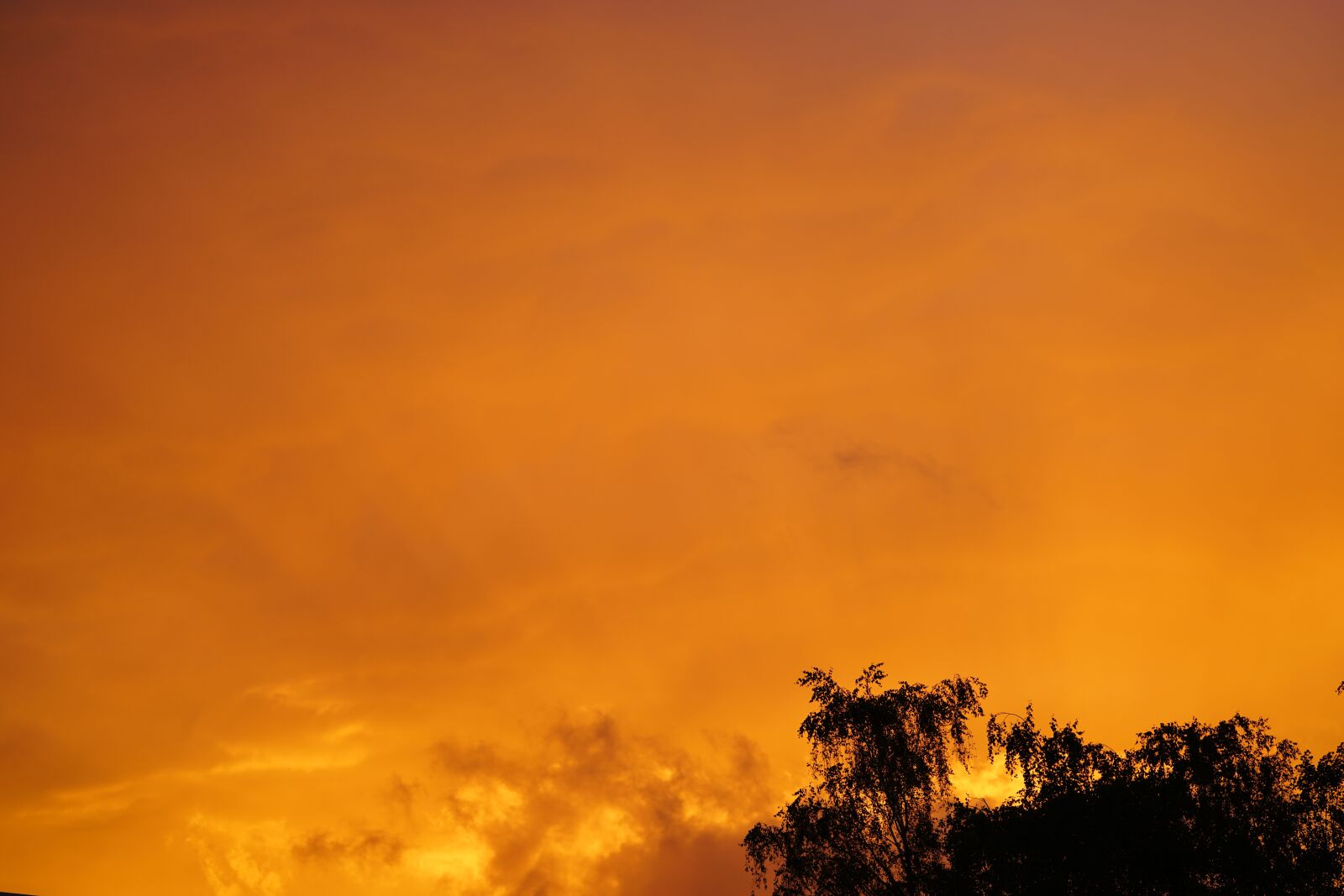 Sony FE 90mm F2.8 Macro G OSS sample photo. Sunset, sunrise, sunbeam photography