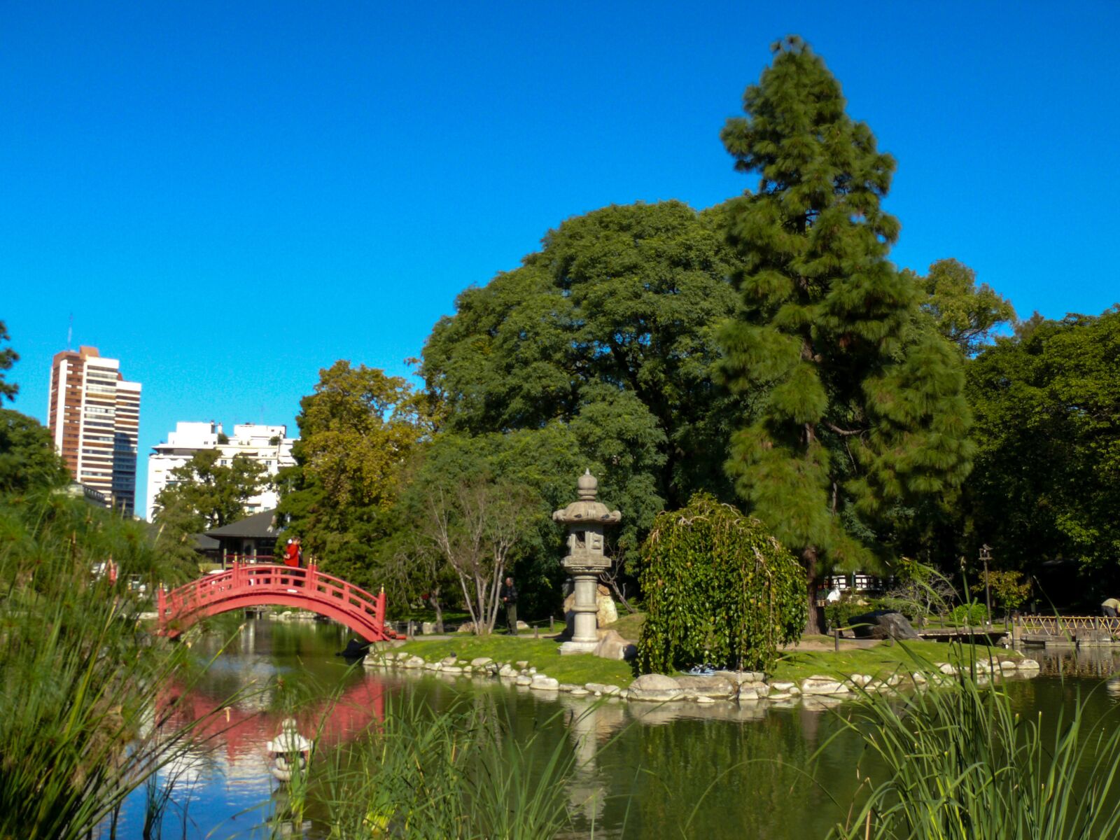 Panasonic DMC-FZ50 sample photo. Japanese garden, argentina, lake photography