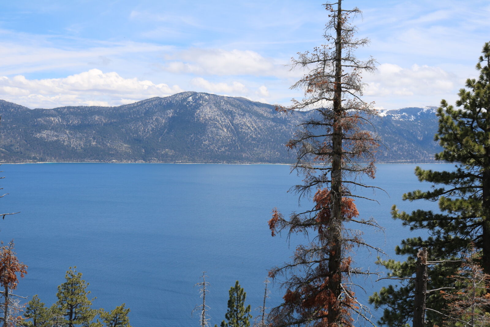 Canon EOS 750D (EOS Rebel T6i / EOS Kiss X8i) sample photo. North, tahoe photography