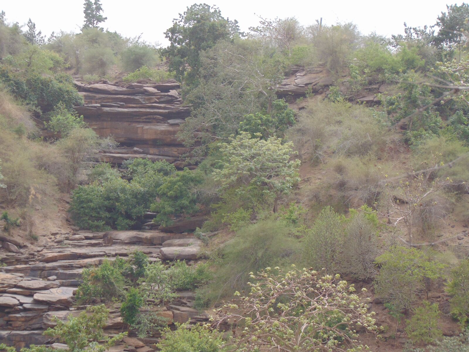 Sony Cyber-shot DSC-H300 sample photo. Nature, waterfall, water photography