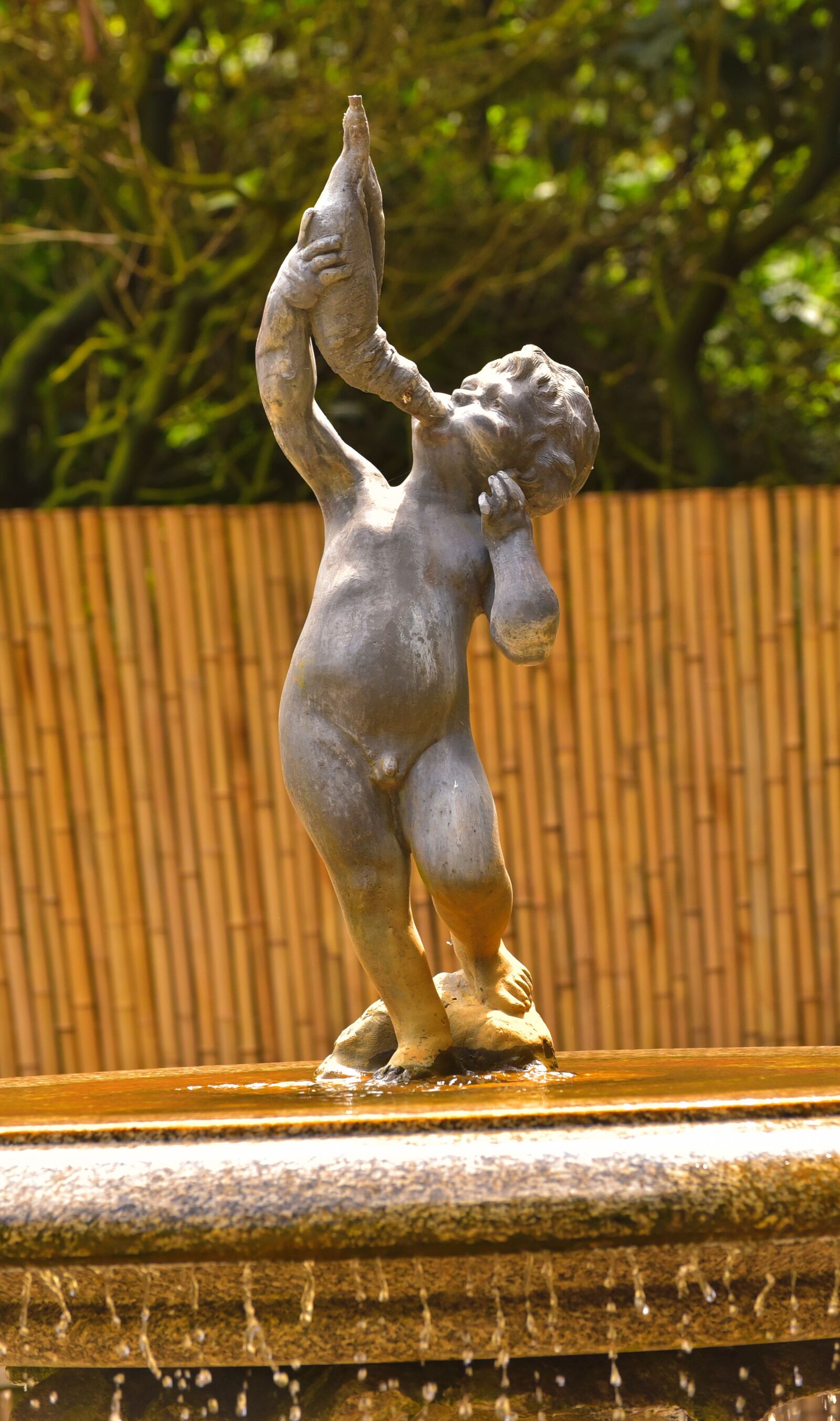 Nikon D750 sample photo. Stature, water, fountain photography
