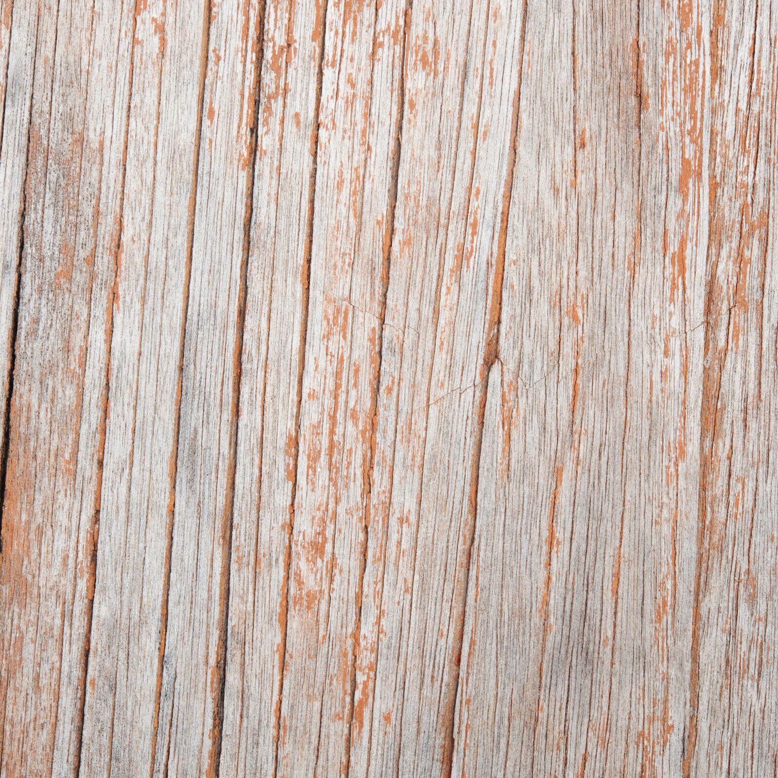 Nikon D700 sample photo. Abstract, antique, backdrop photography